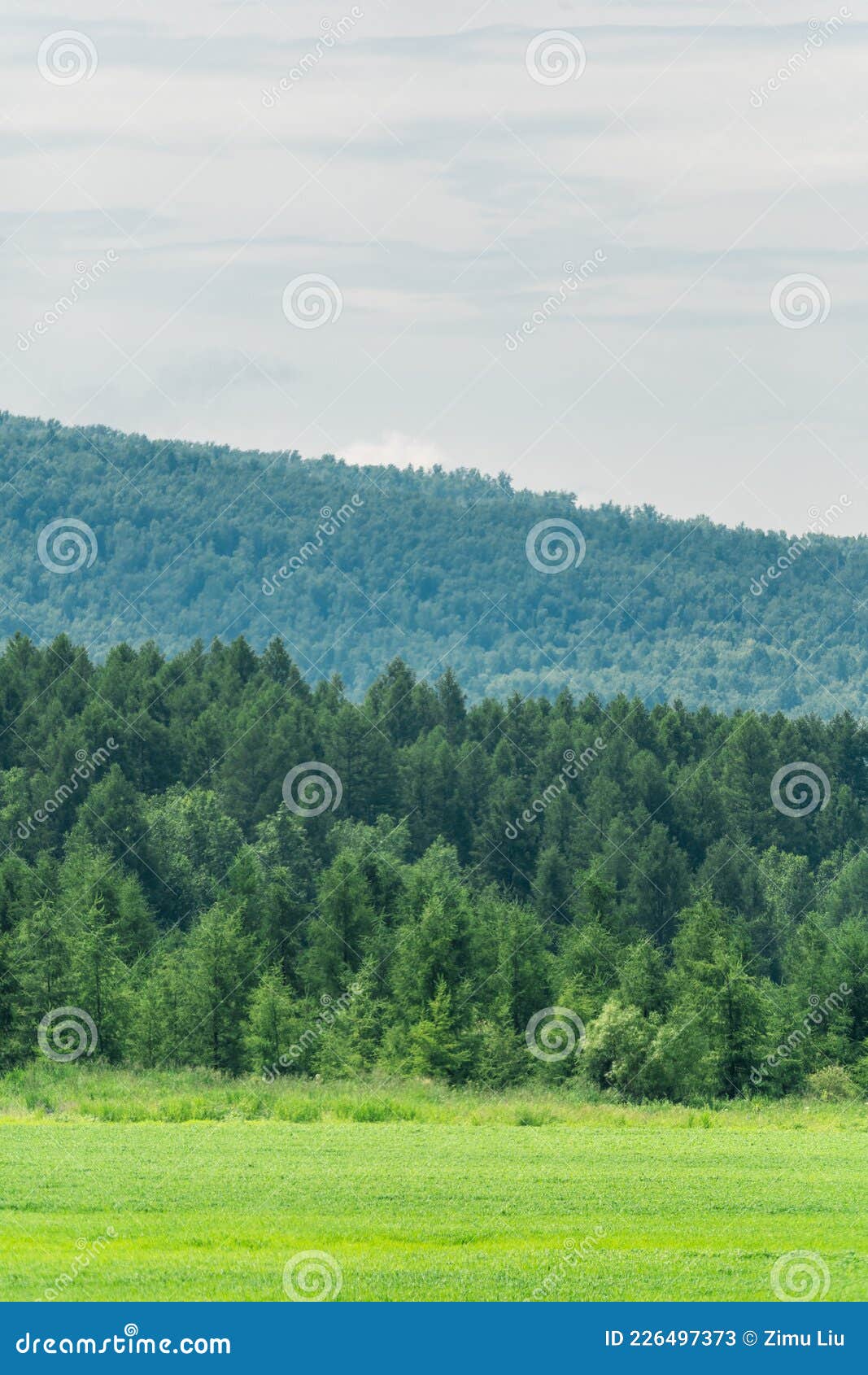 the mountain landscape of greater khingan mountain