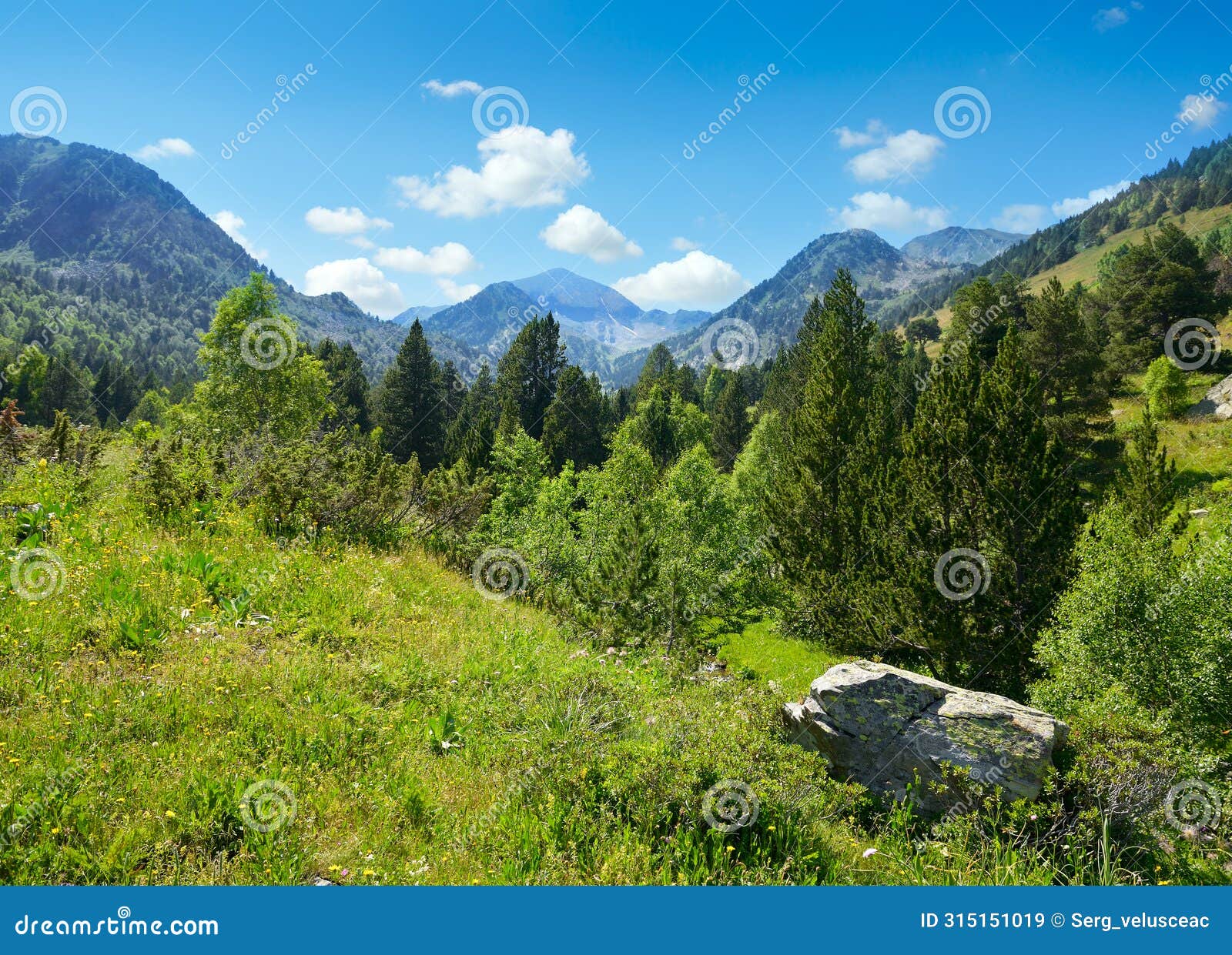 mountain landscape with green grass and flowers. andorra