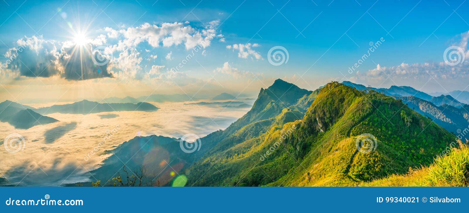 mountain landscape nature summer or spring background with sun r