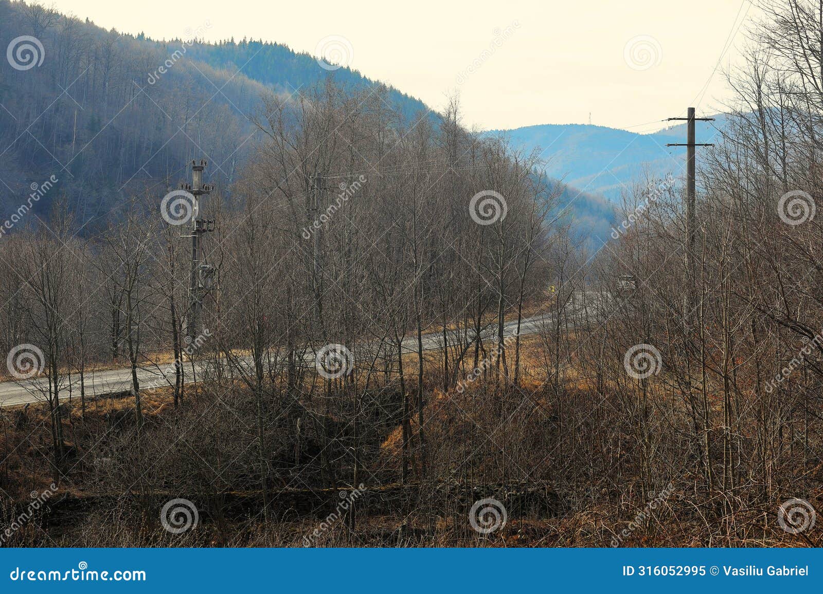 mountain landscape, near the suzana monastery, prahova county