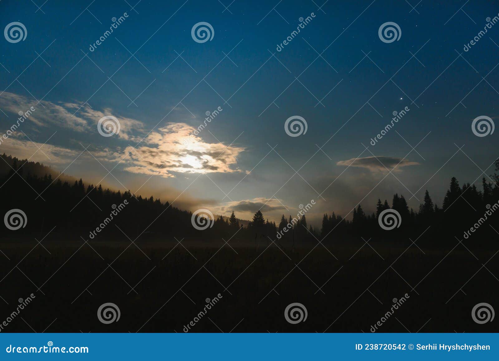 Mountain Landscape Pine Trees Near Valley And Colorful Forest On