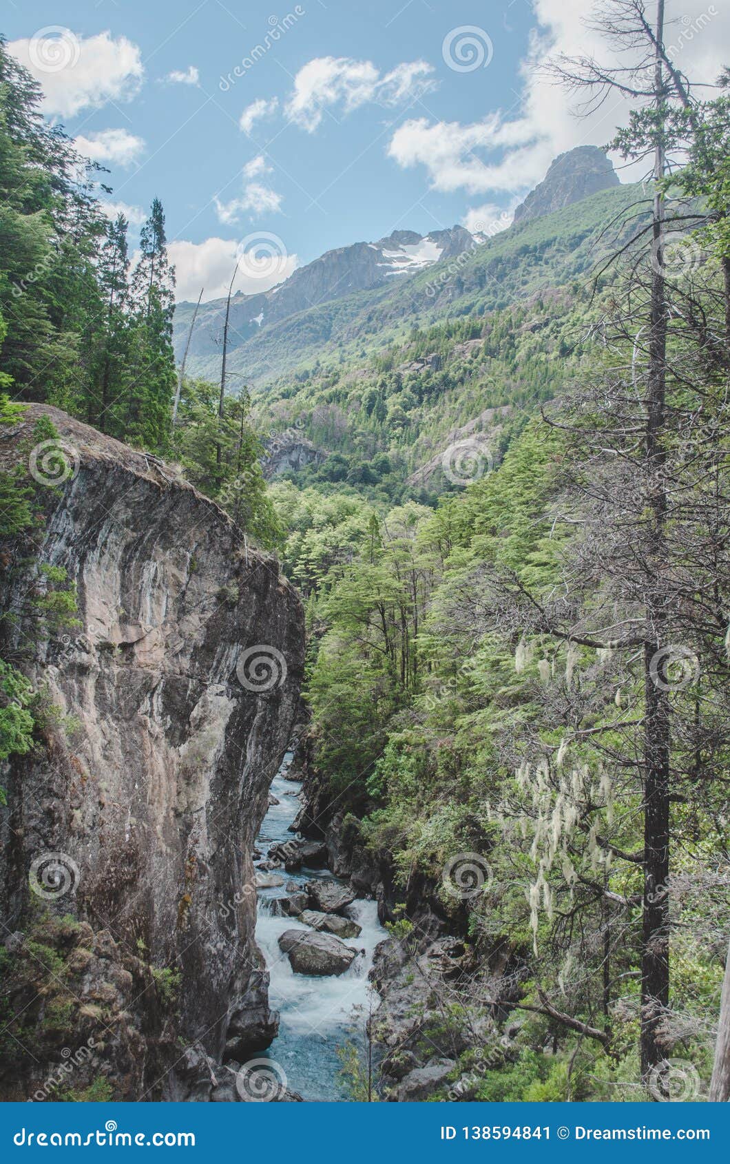 Snowy Mountain Behind, River between Forest with Green Trees Stock ...