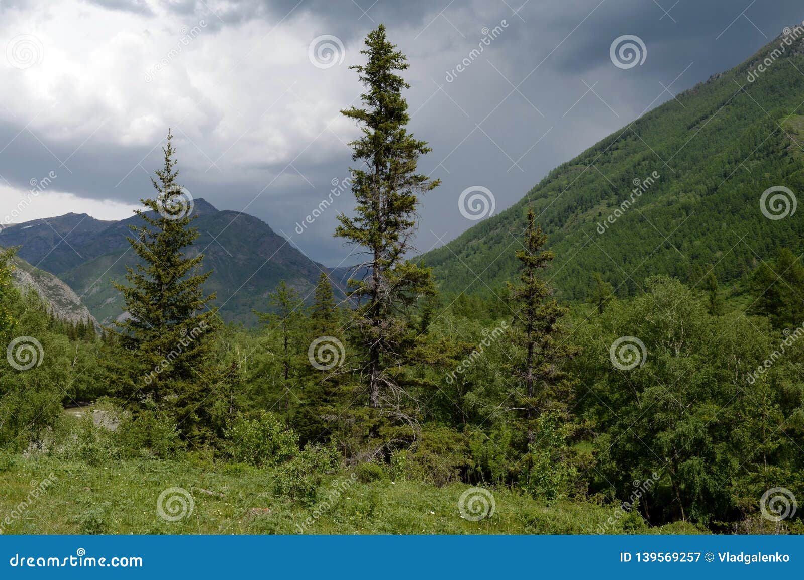 Mountain Landscape By The River Chuya Altai Republic Siberia Russia