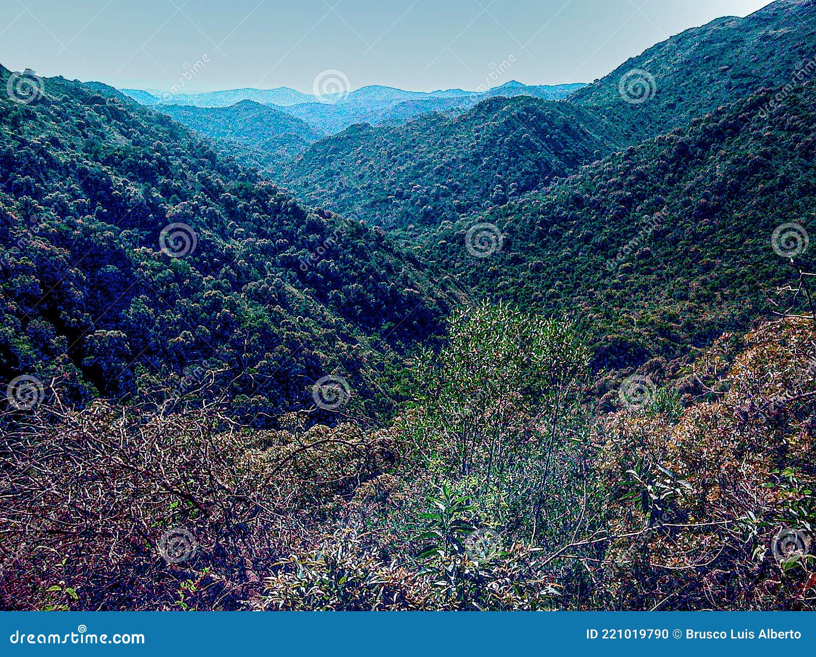 mountain landscape with valleys covered by a dense forest, sierras chicas, cordoba, argentina
