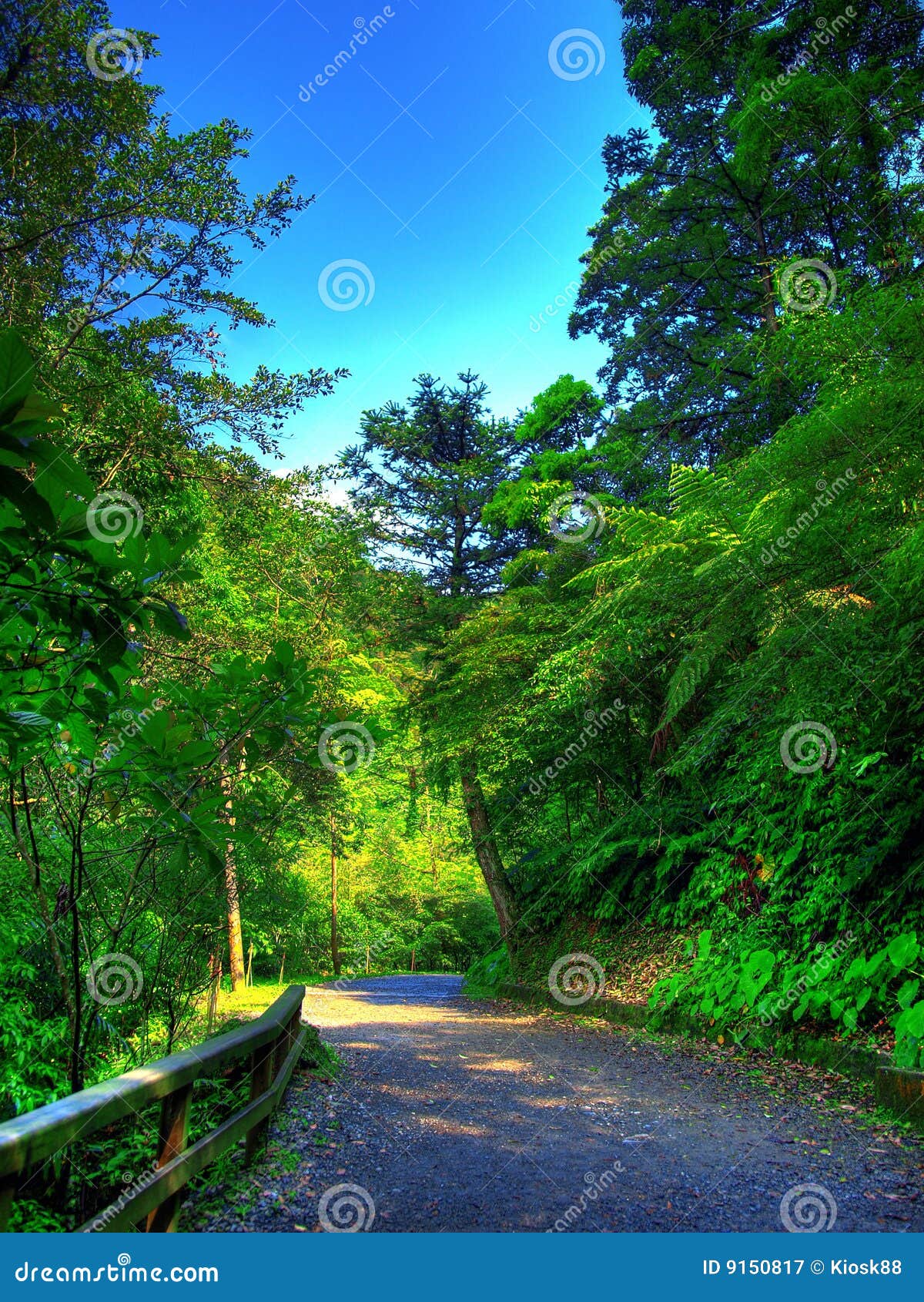 Mountain lane stock image. Image of ground, country, earth 9150817