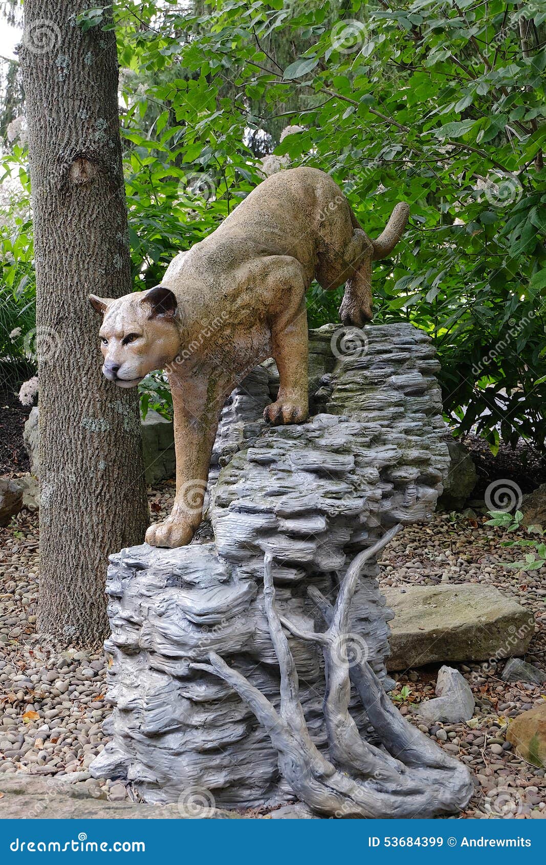 Mountain Lion stock image. Image of state, used, cougar 53684399