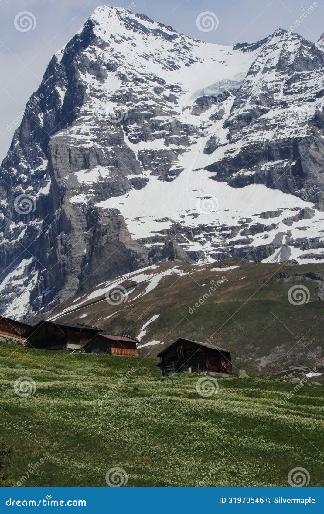 Alpine Meadow Stock Photo Image Of Meadow Growth Shack 31970546