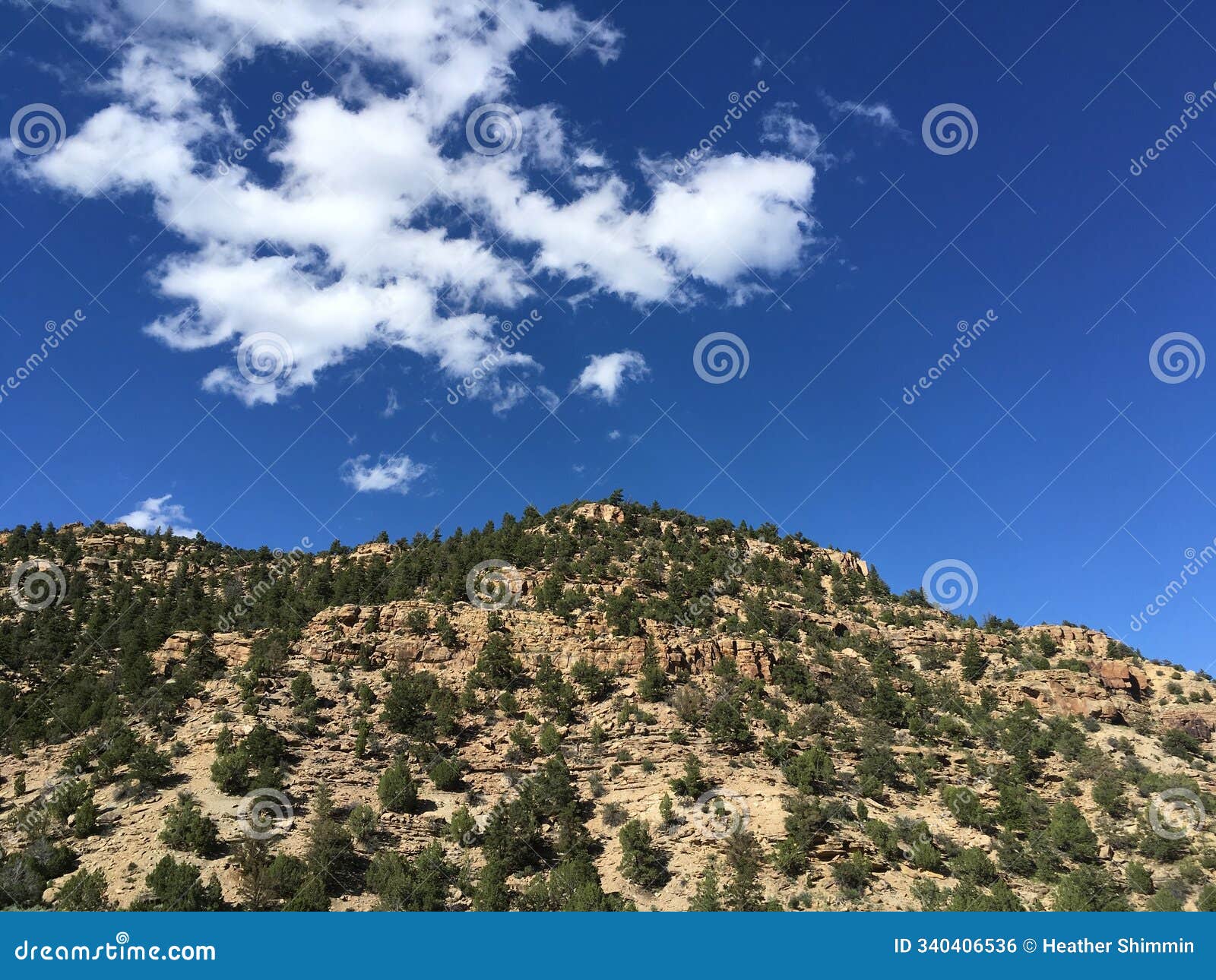 looking up a mountain in nine mile canyon utah on a bright summer's day