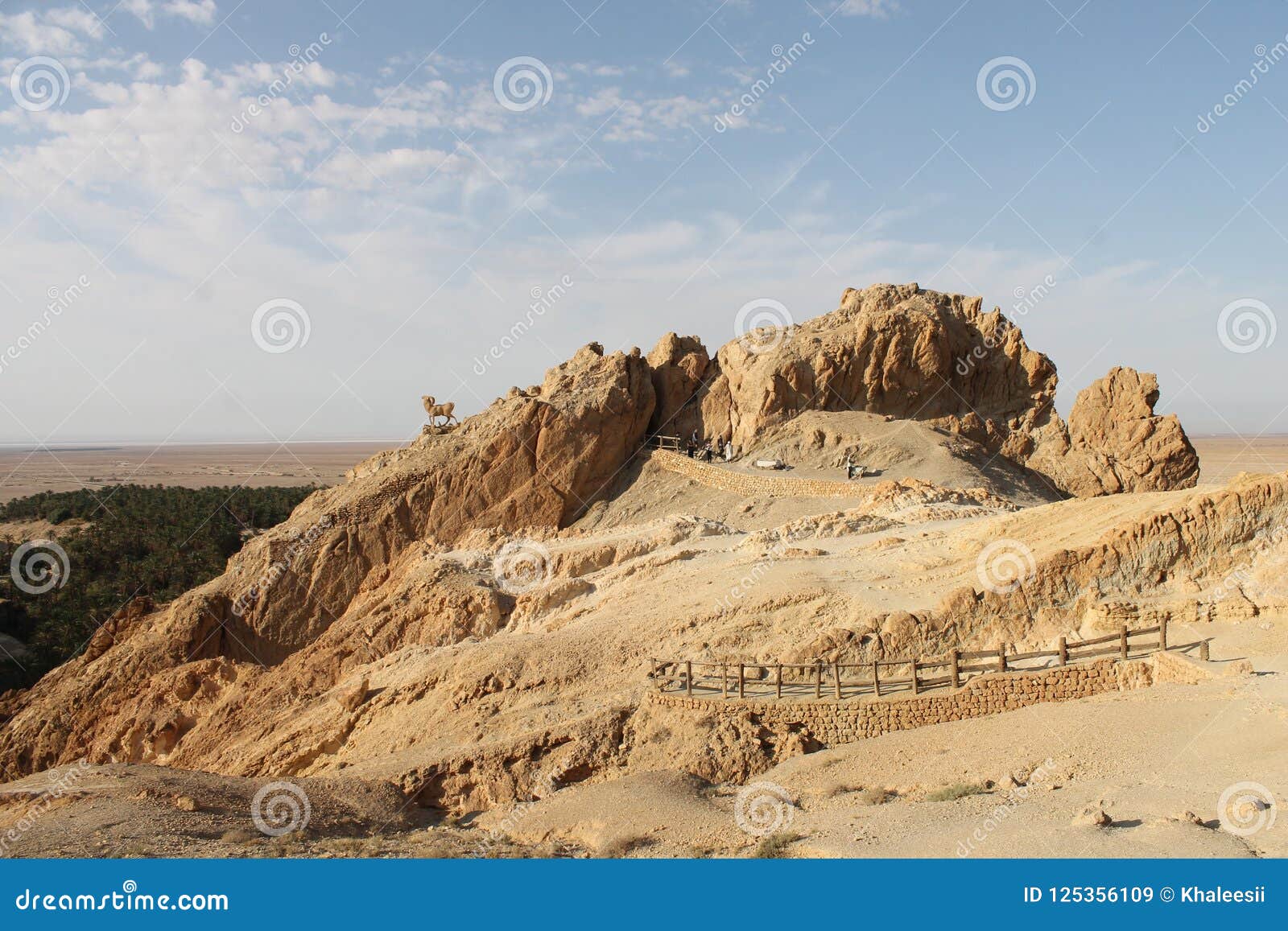 the mountain oasis of chebika , located in the tozeur governance of tunisa