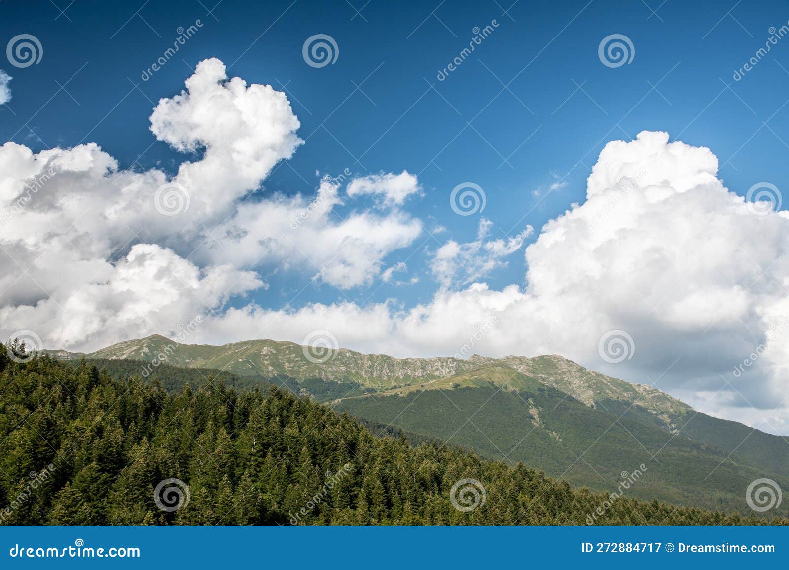 mountain panorama with trees and cloudy sky