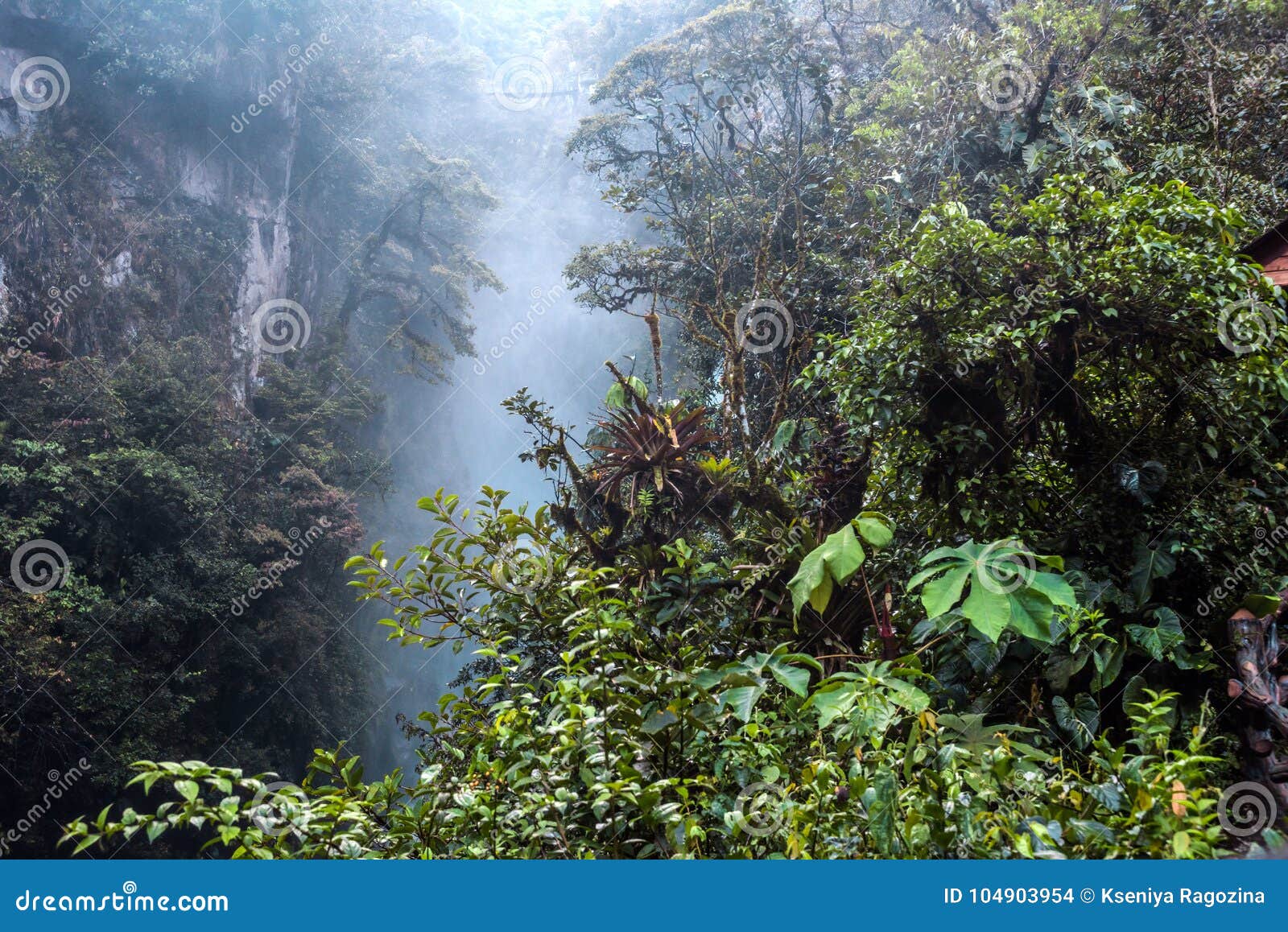 mountain rainforest, near the waterfall pailon del diablo