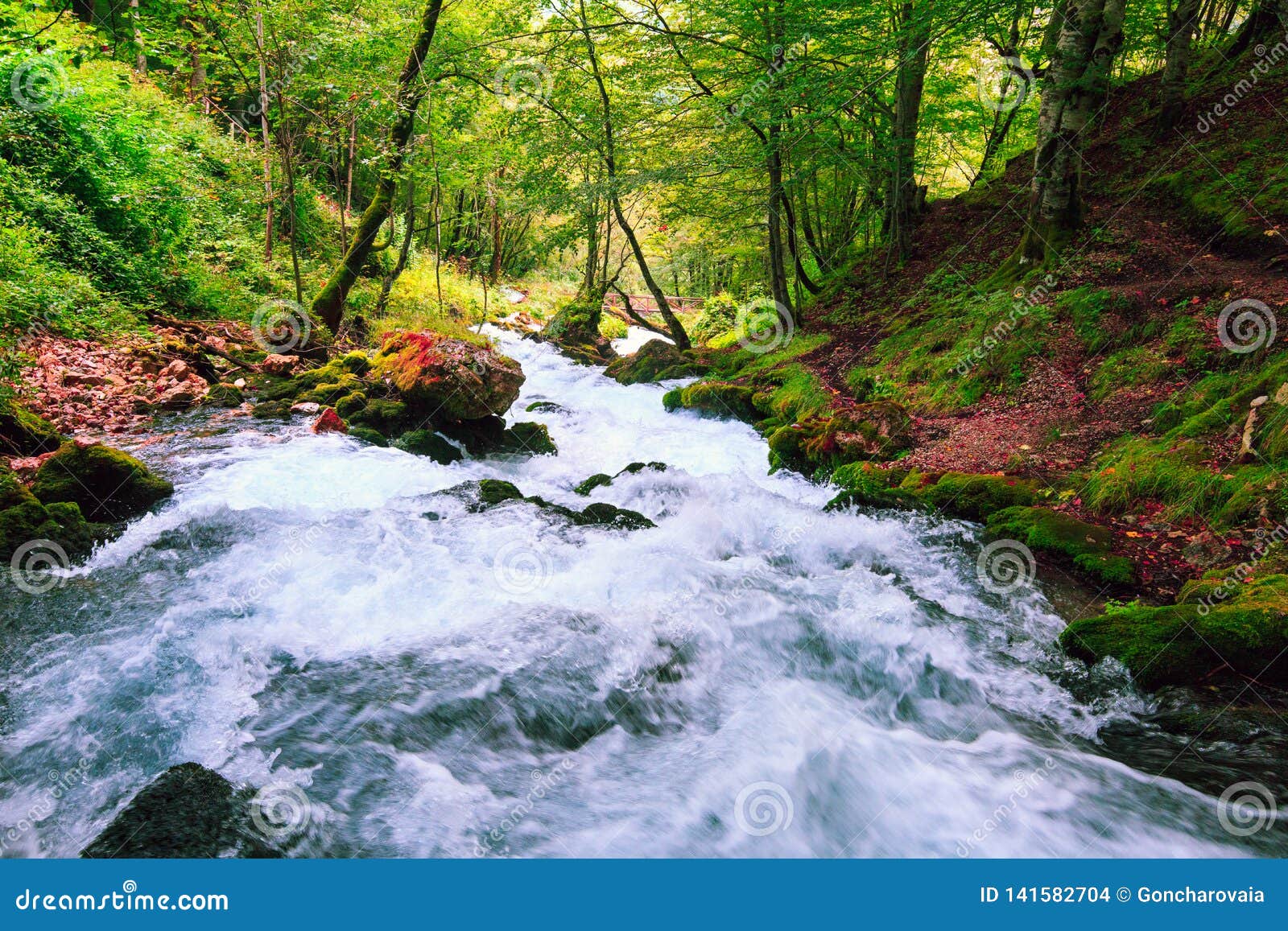Mountain River In Autumn Colorful Forest Stock Photo Image Of