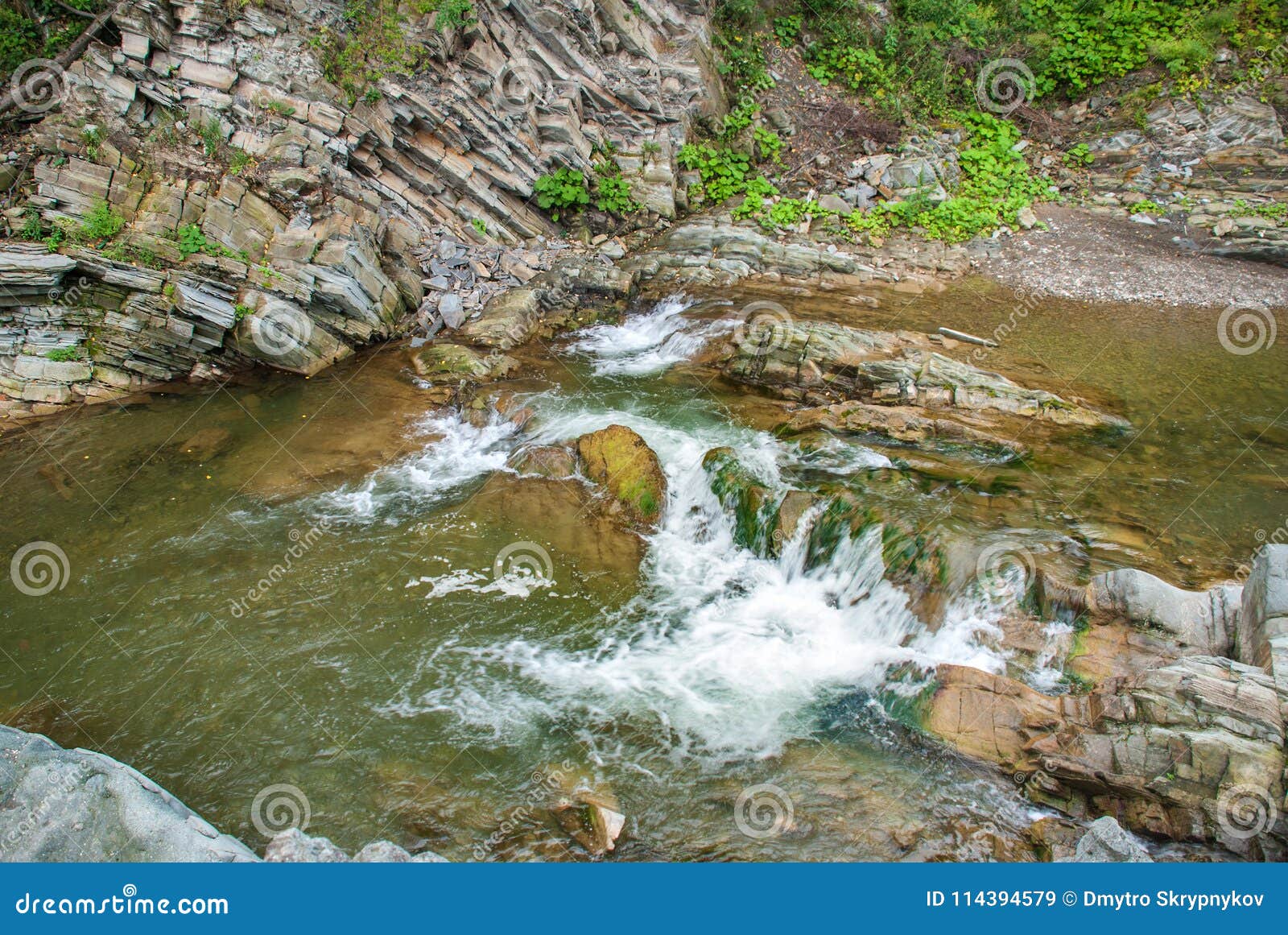 Mountain River Flowing Through The Green Forest Stock Image Image Of