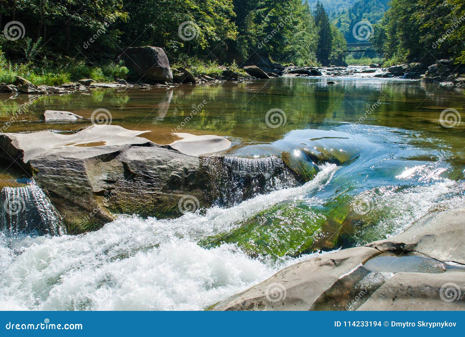 Mountain River Flowing Through The Green Forest Stock Photo Image Of