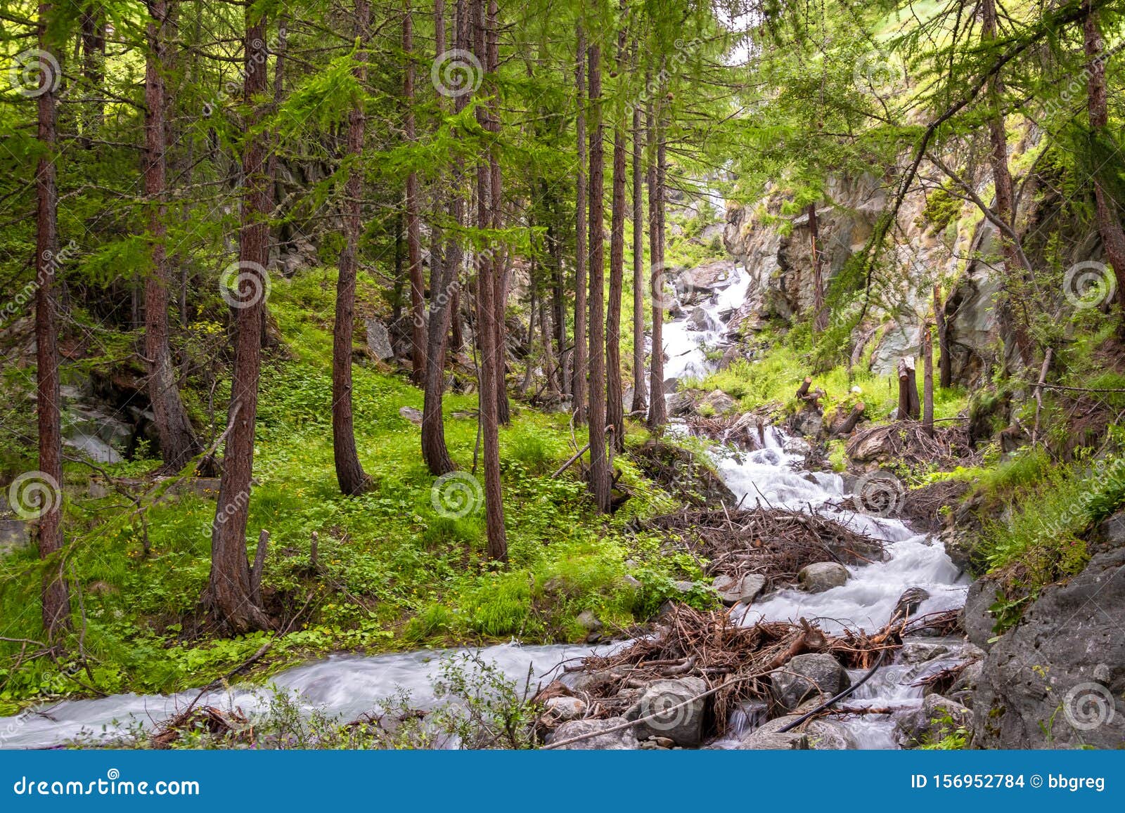 Mountain River Flowing Through The Green Forest Stream In The Wood