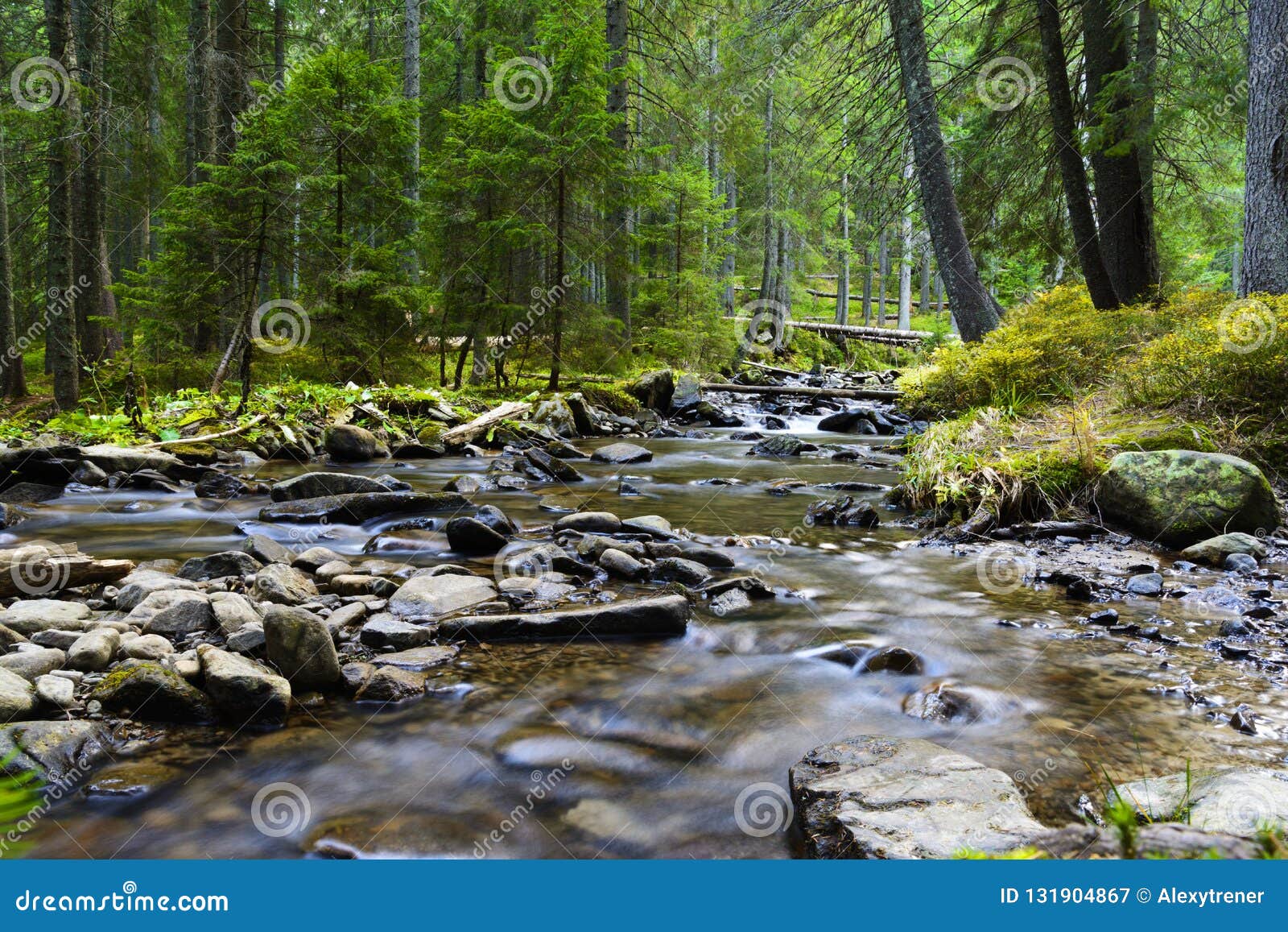 Mountain River Flowing Through The Green Forest Stream In The Wood