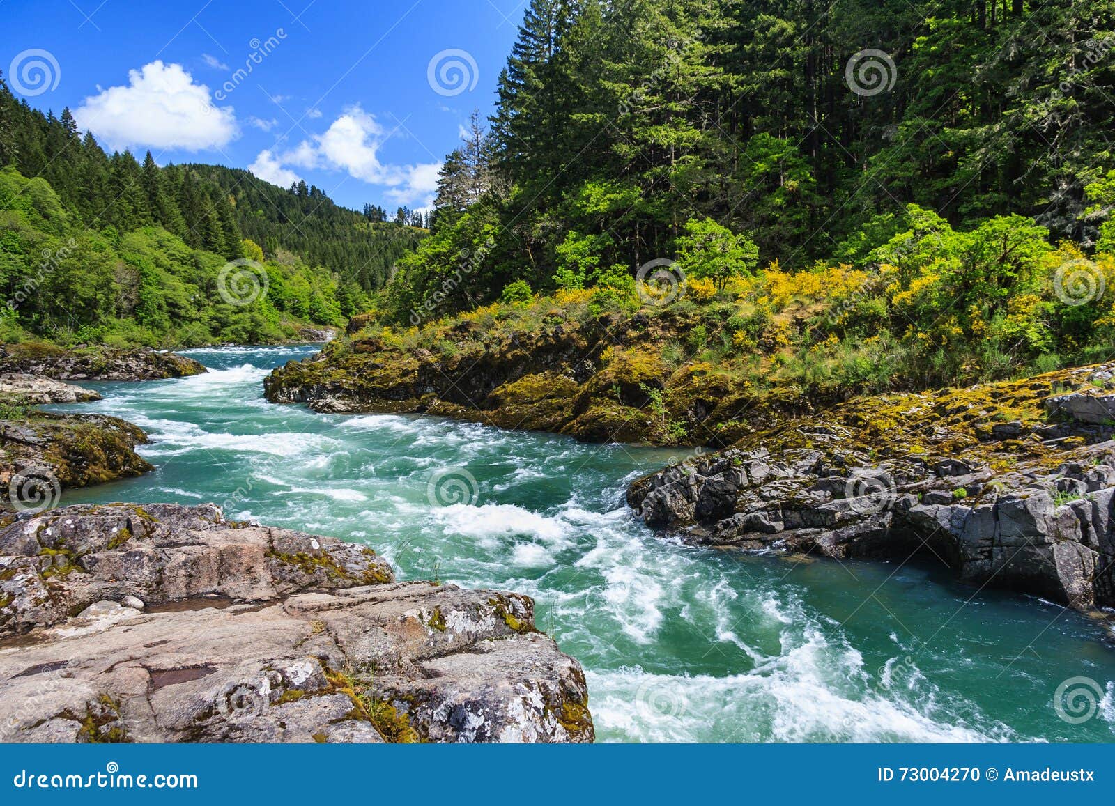 mountain river and forest in north cascades national park washington usa