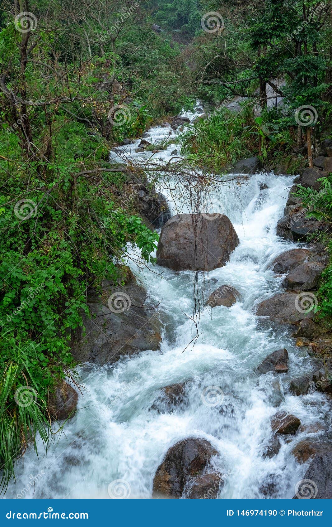 Mountain River Stream Waterfall Fresh Forest Landscape Nature Plant