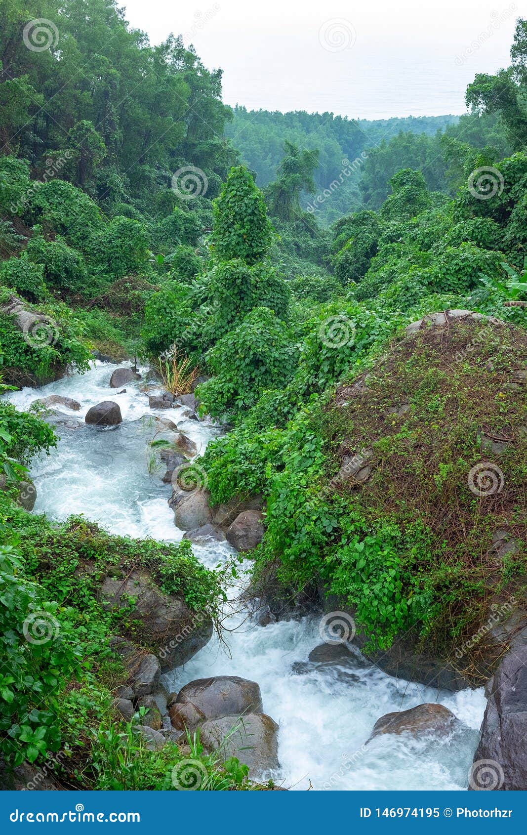 Mountain River Stream Waterfall Fresh Forest Landscape Nature Plant