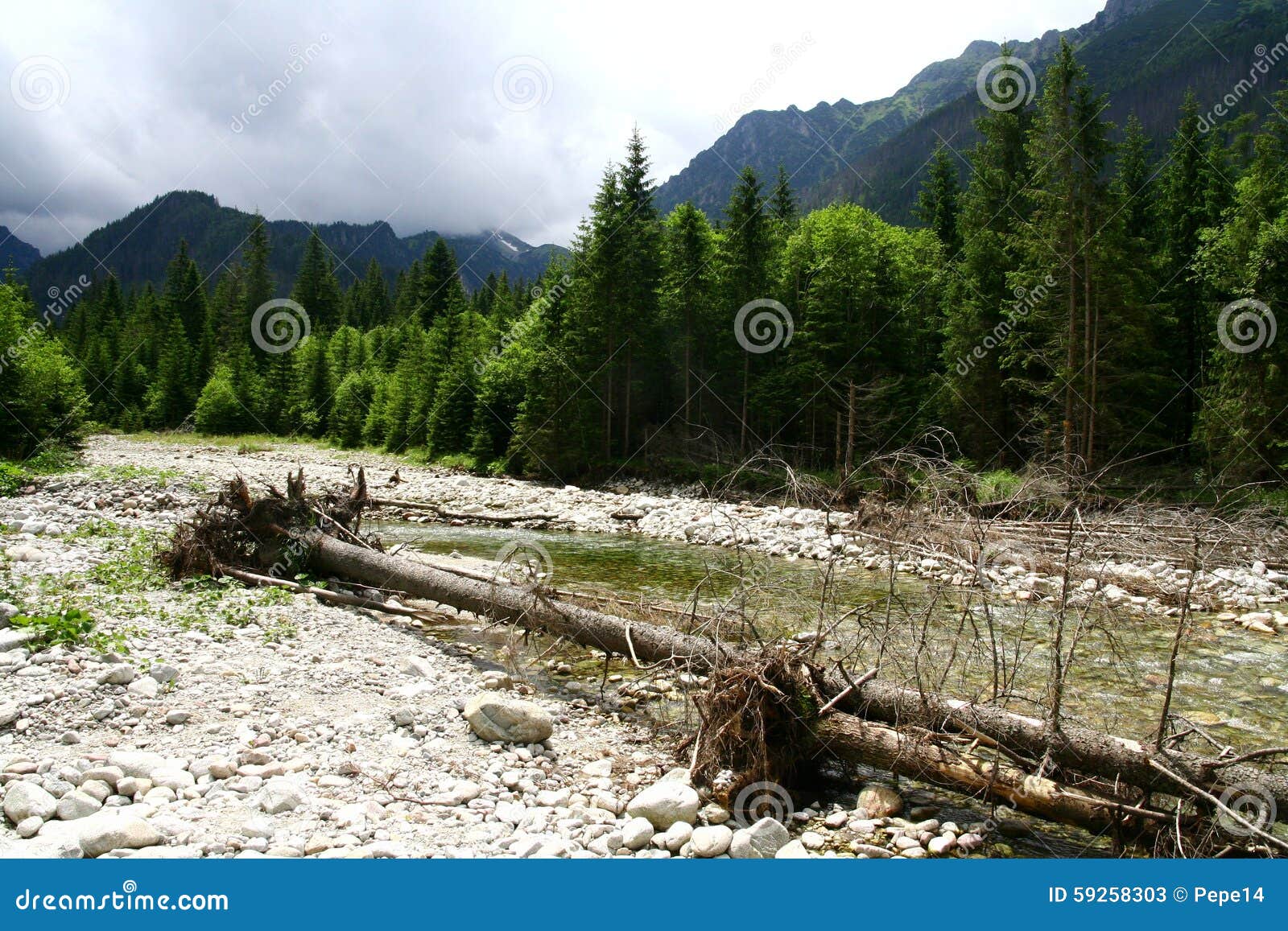 Mountain River in Tatra Mountains Stock Image Image of cart, bank