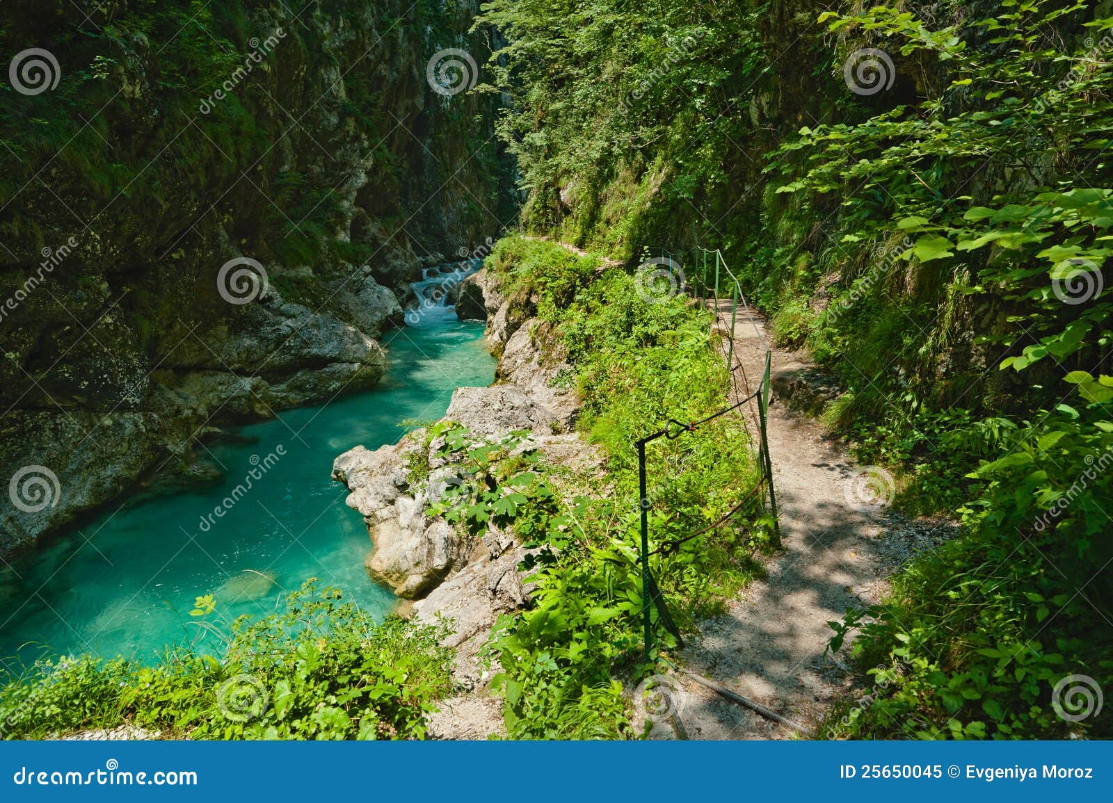 mountain river and a trail. tolmin gorges