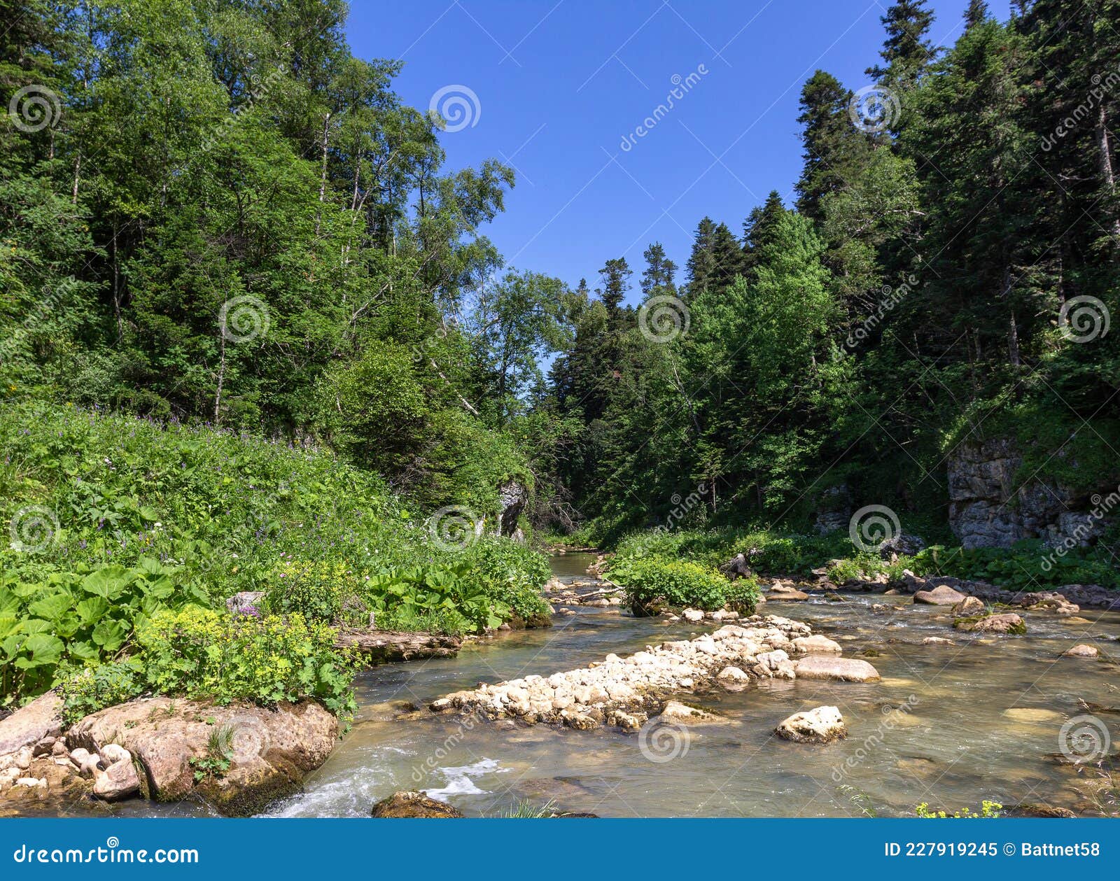 Mountain Rivers Sources Of Environmentally Friendly Resources Of Water