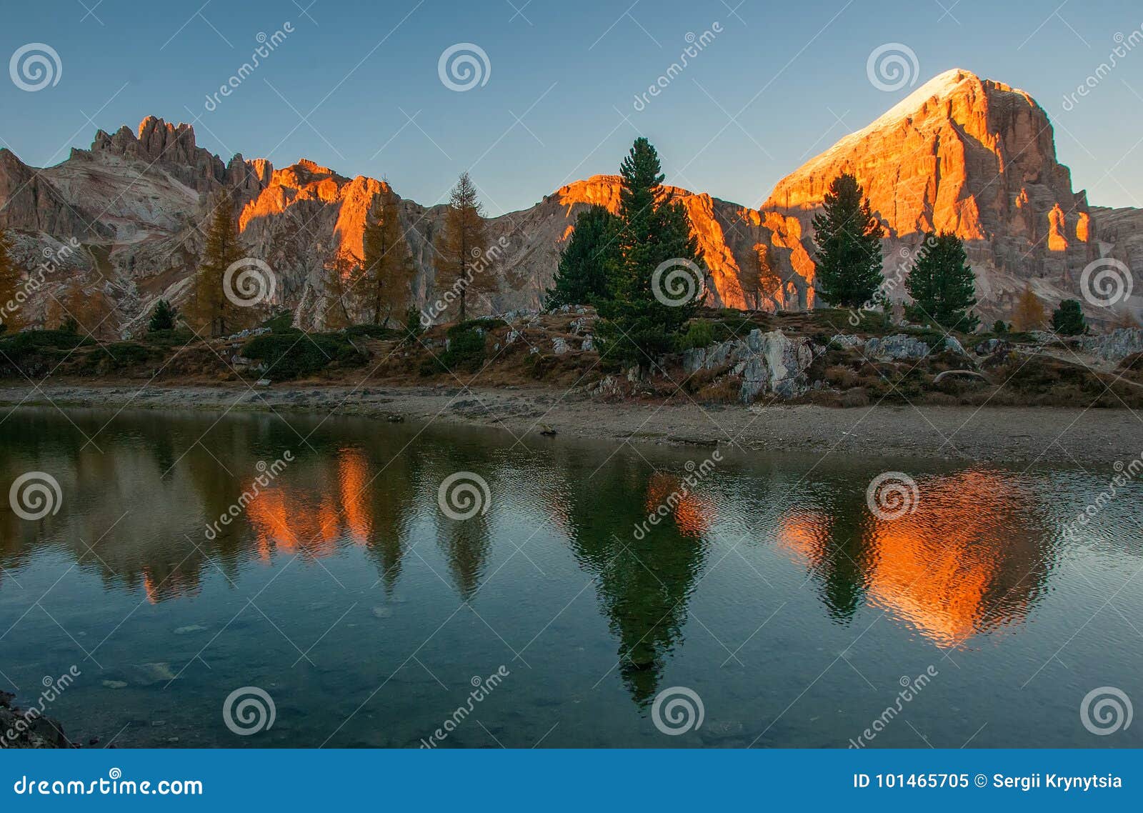 mountain rocks and autumn trees reflected in water of limides lake at sunset, dolomite alps, italy