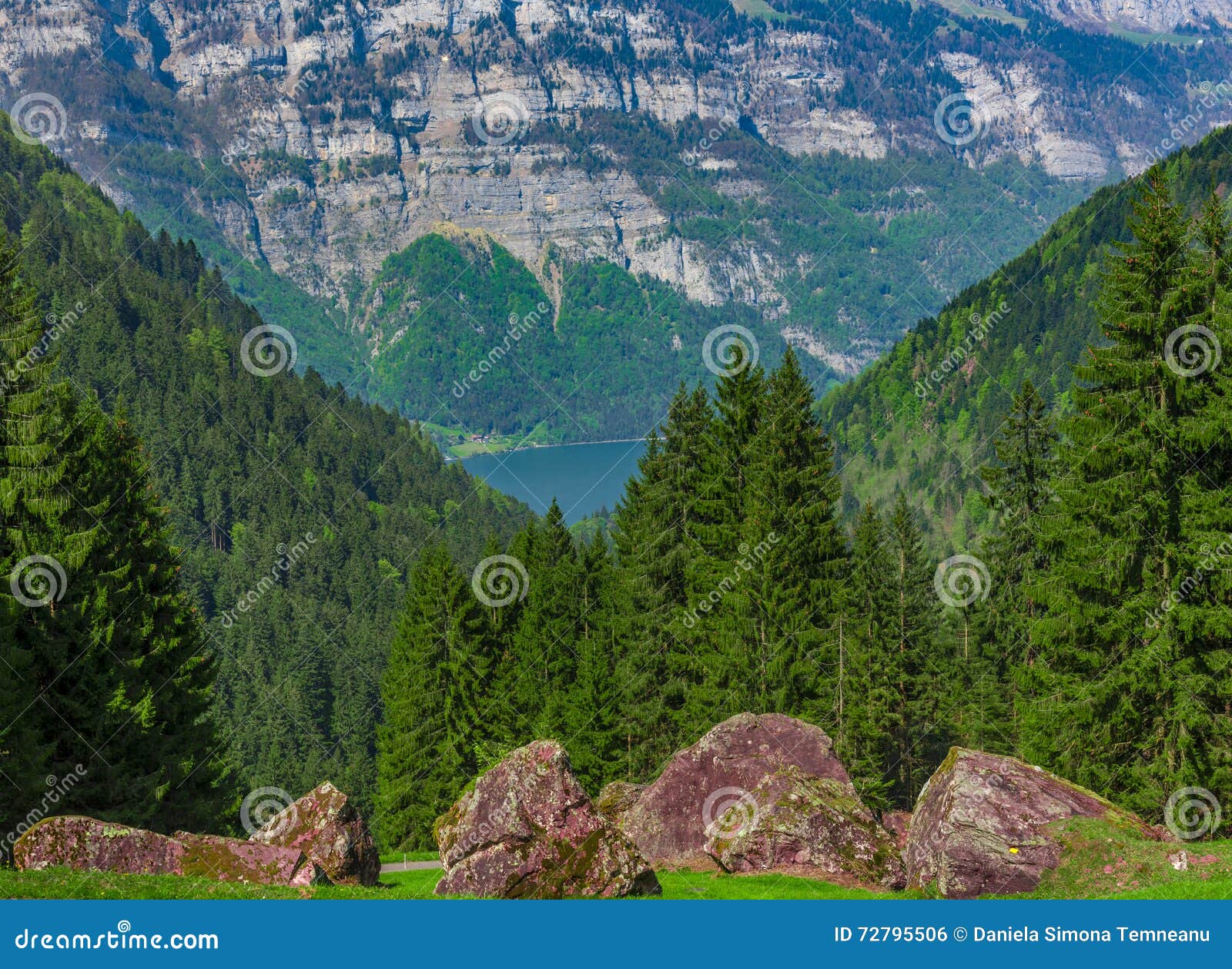 Mountain Rocks With Forest In The Background Stock Photo Image