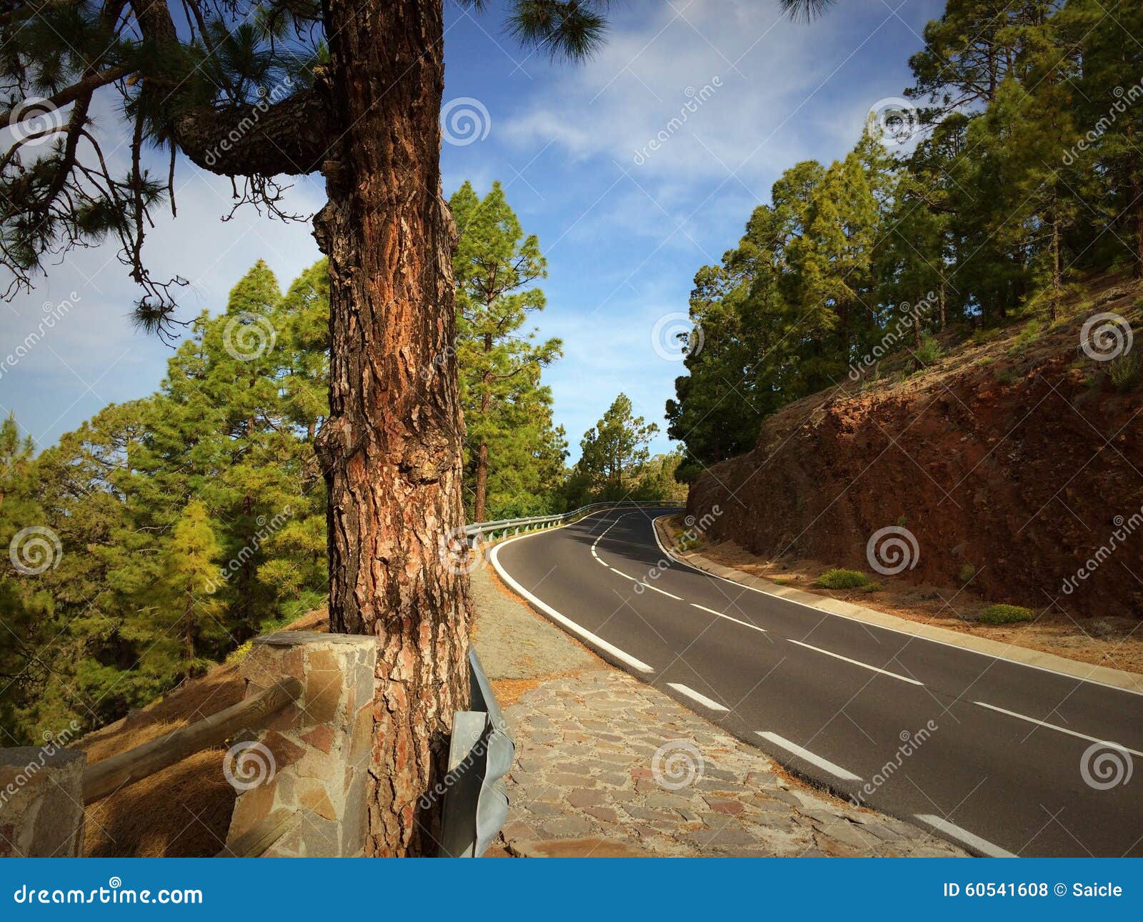 Mountain serpentine road stock photo. Image of nature 60541608