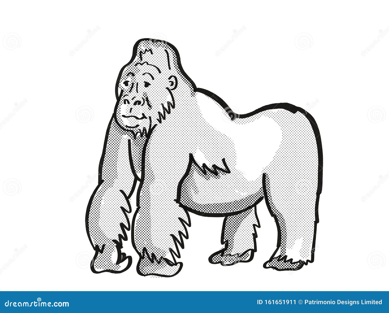 mountain silver back gorilla endangered wildlife cartoon mono line drawing