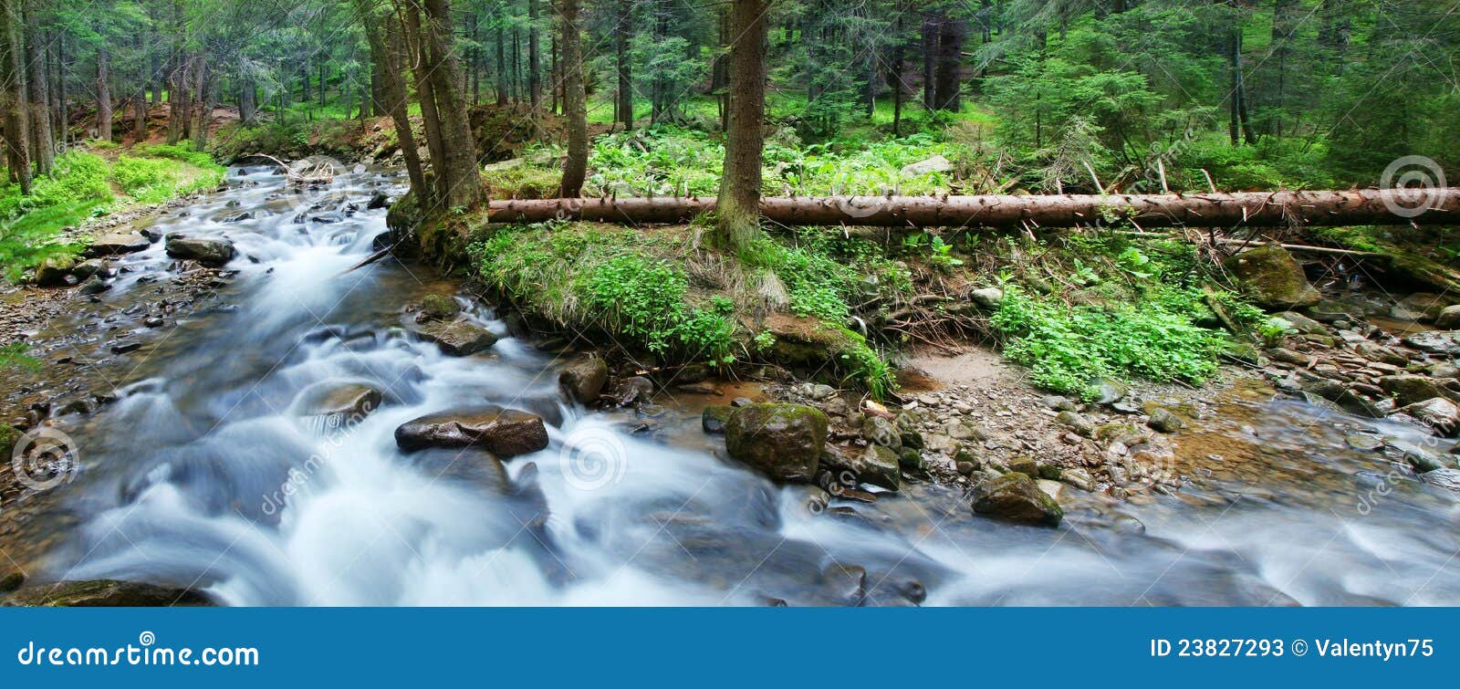 mountain stream