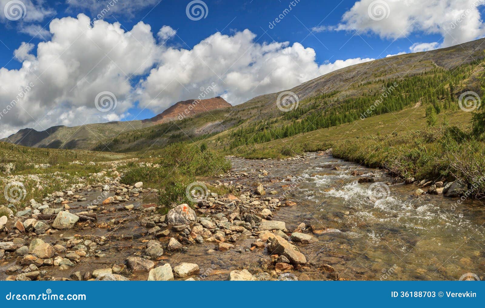 Mountain stream in East Sayan mountains. A landscape.