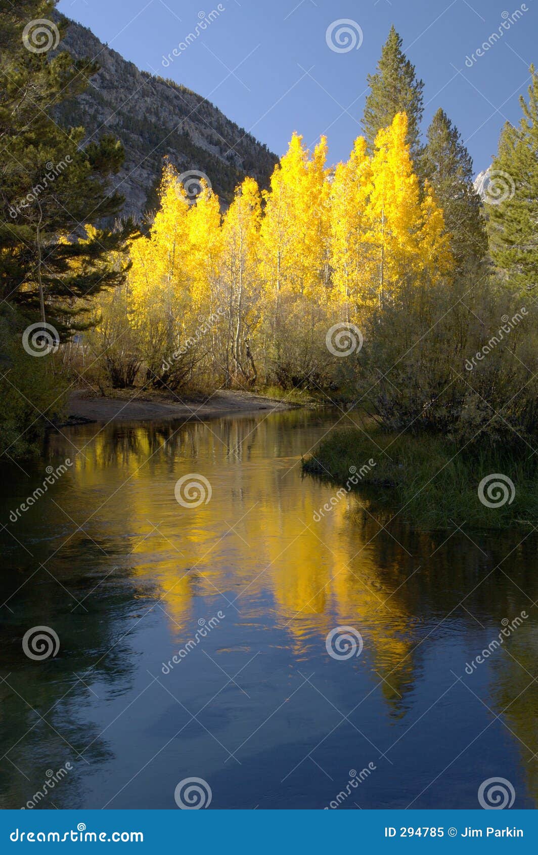 mountain stream, fall colors