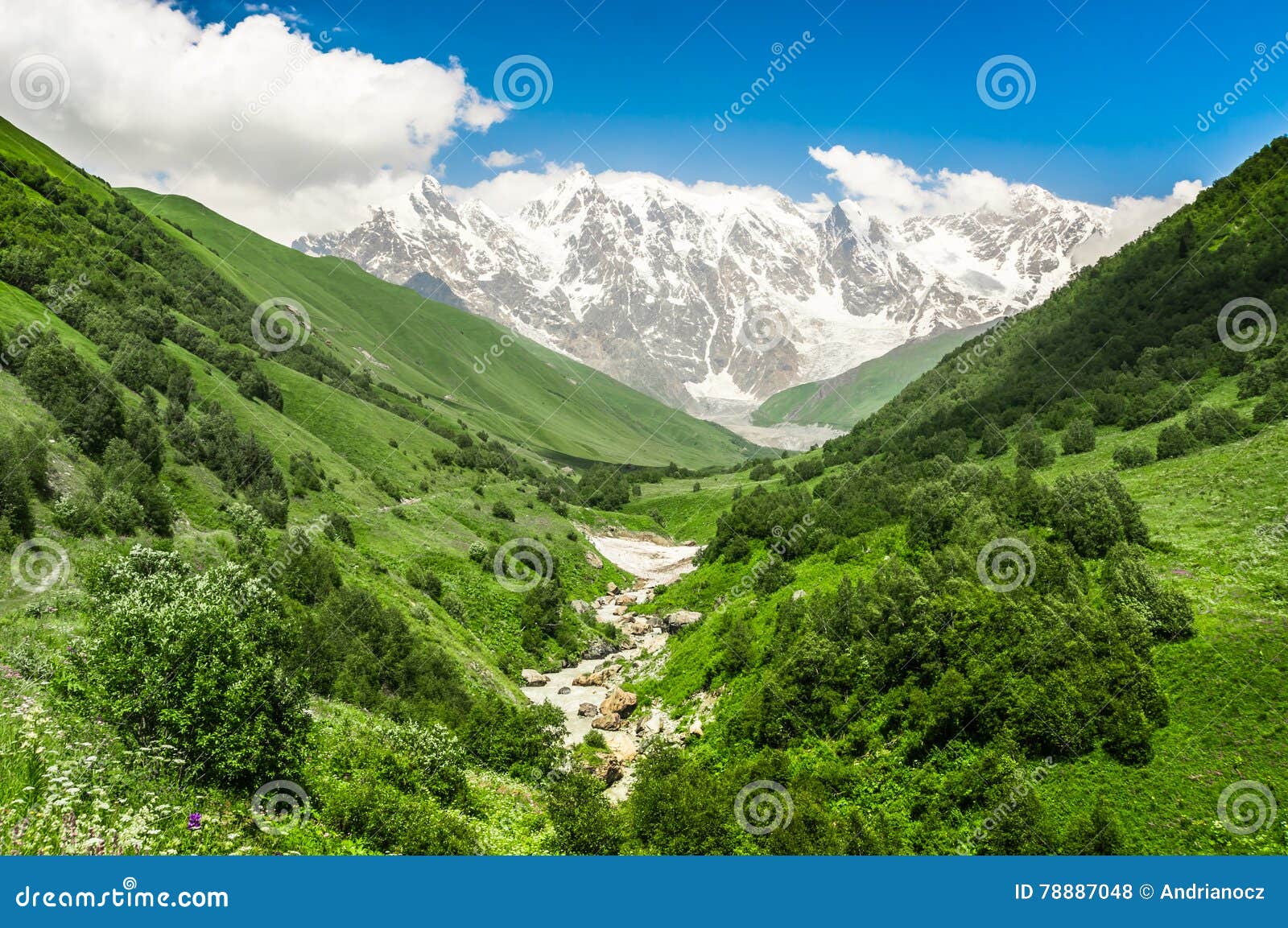 Mountain Stream and Snowcapped Mountains in Stock Photo