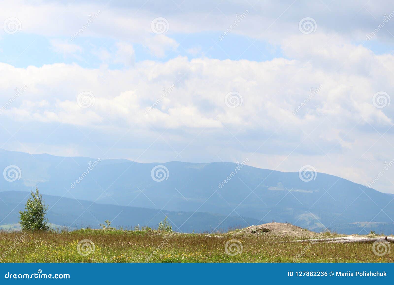 the mountains of the carpathians are not so high but very majestic, and water is life in these mountains