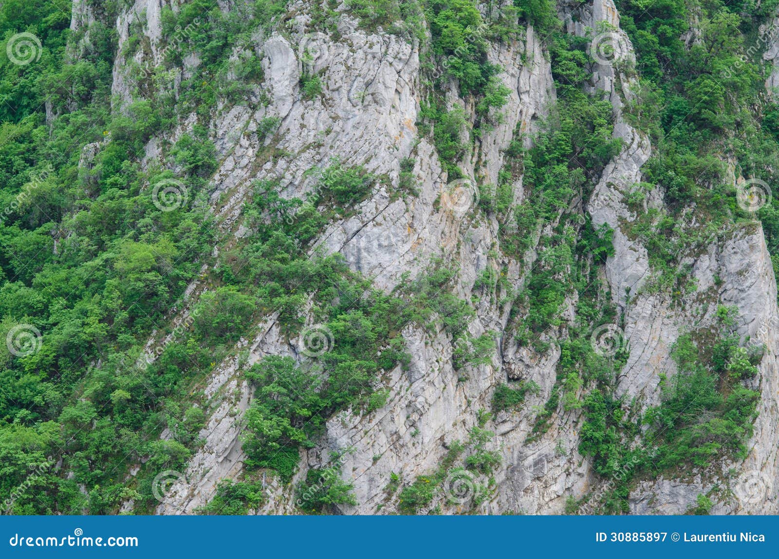 mountain texture green bushes trees 30885897