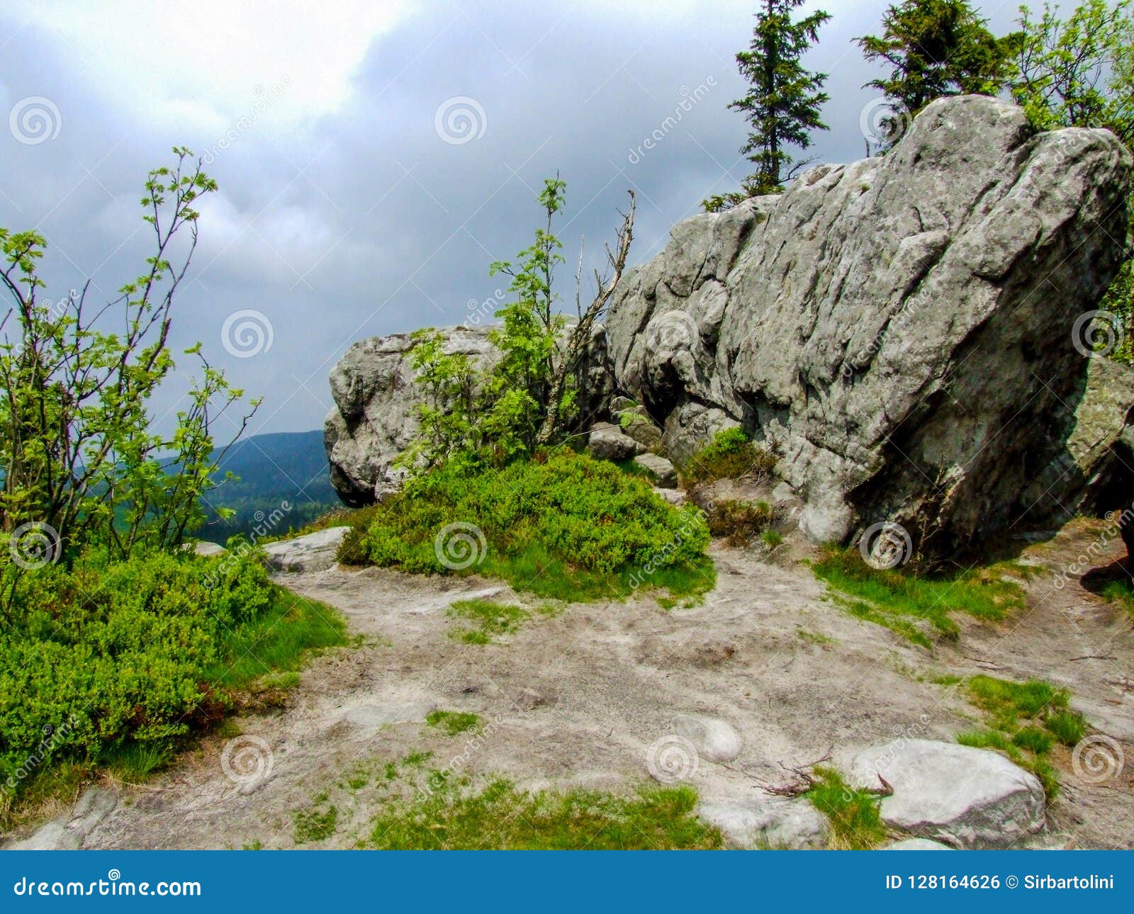 pathway among trees and rocks in gÃÂ³ry stolowe in poland.