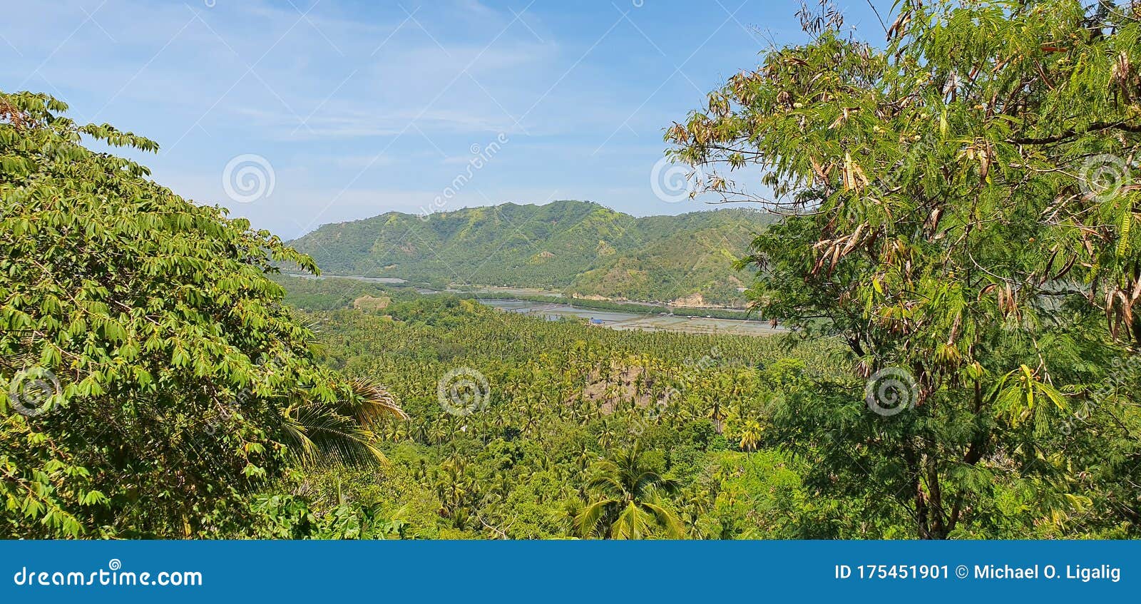 mountain and trees in davao occidental, philippines