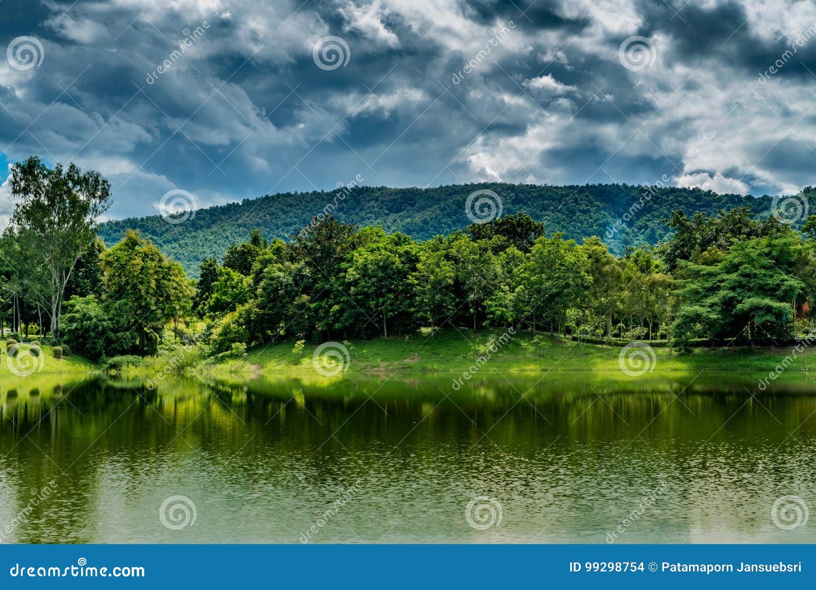 Mountain Trees and Green Lake Stock Photo - Image of landscape, forest ...