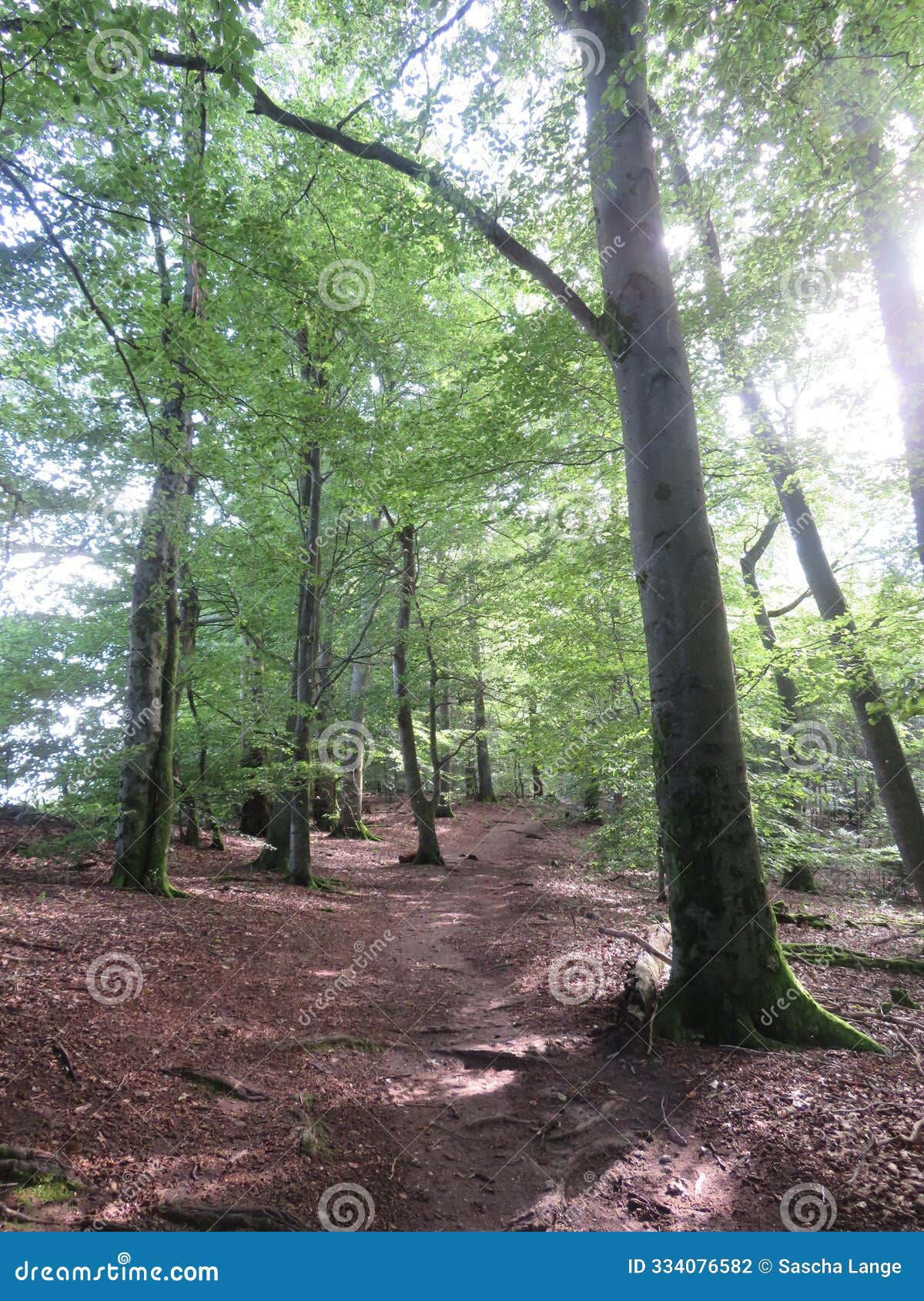 the mountain tromm in hesse