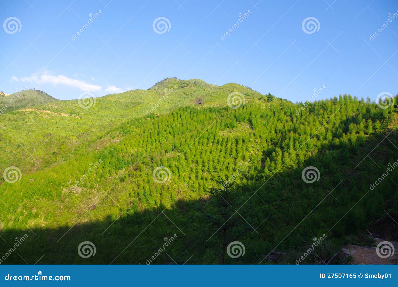 mountain under the blue sky