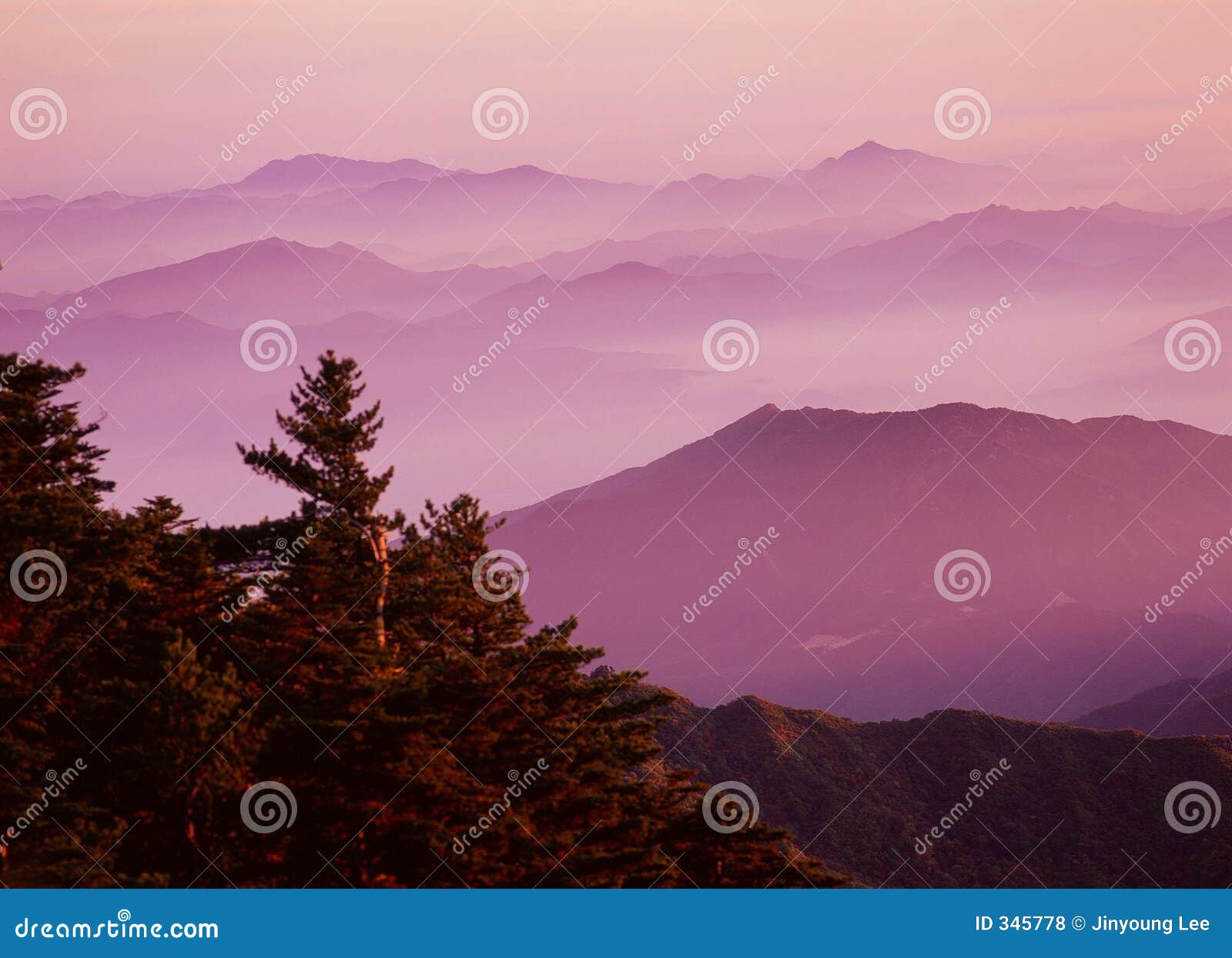 Mountain View stock photo. Image of tree, green, mountain 345778