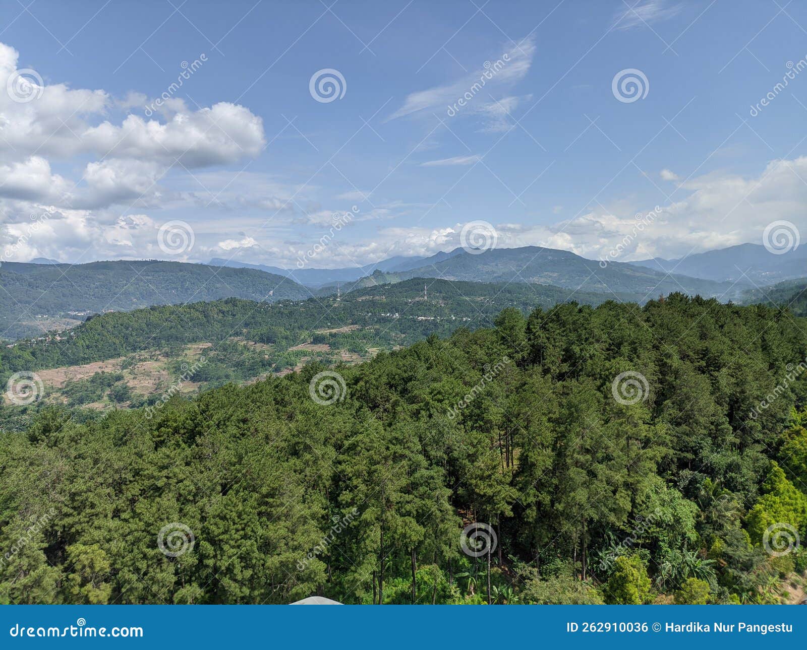 mountain view mountain landscape fotografi forest