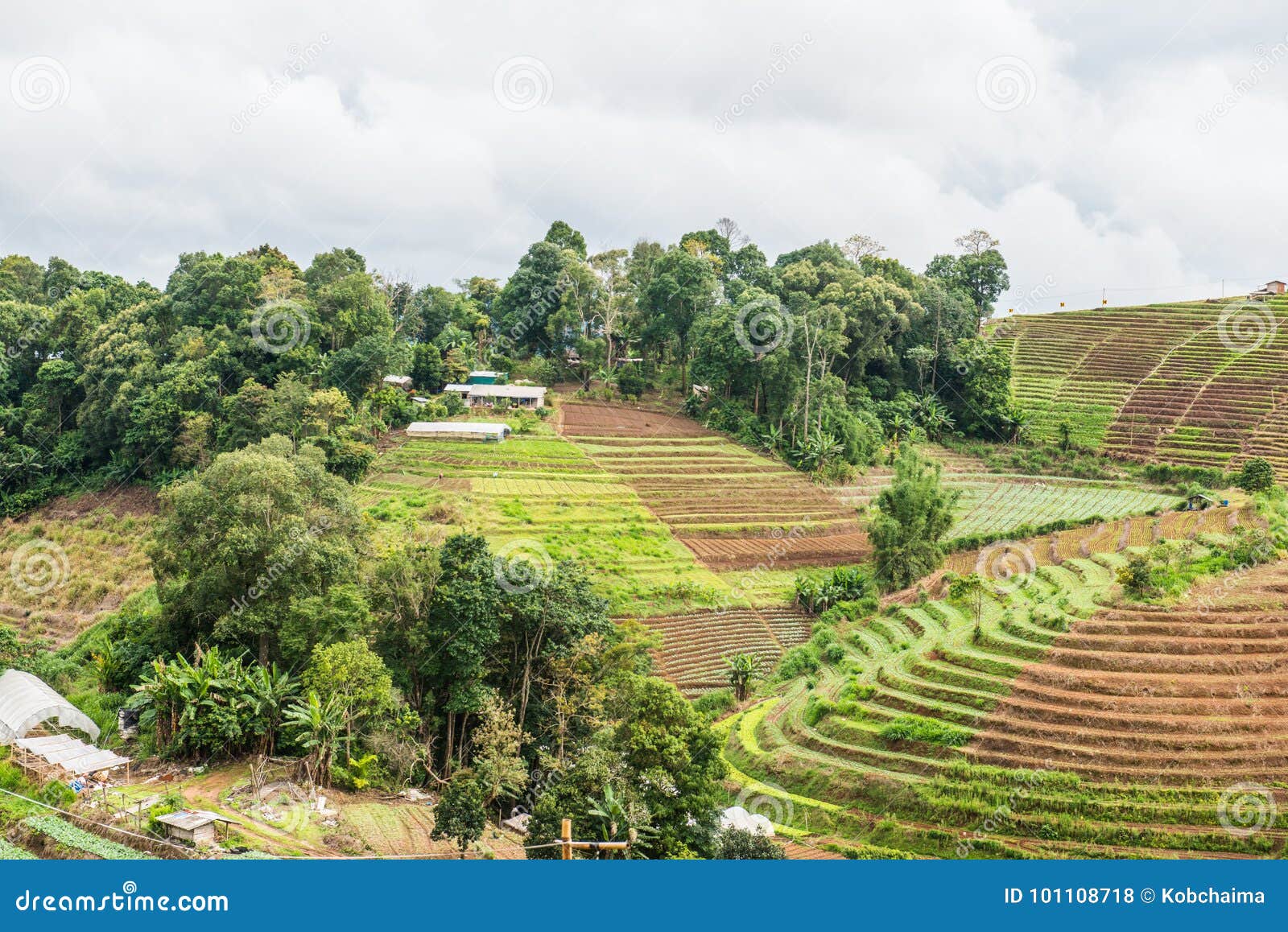 Mountain View at Mon Jam View Point Stock Photo Image of rainy