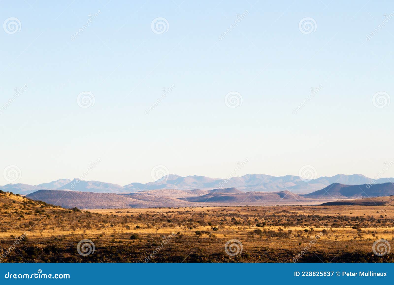 mountain zebra national park, south africa: general view of the scenery giving an idea of the topography and veld type