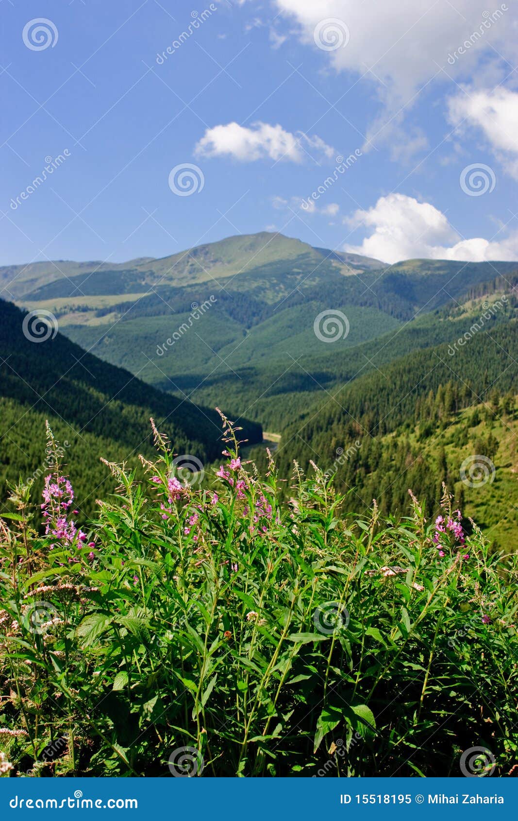 Mountainous landscape stock image. Image of forest, nature - 15518195