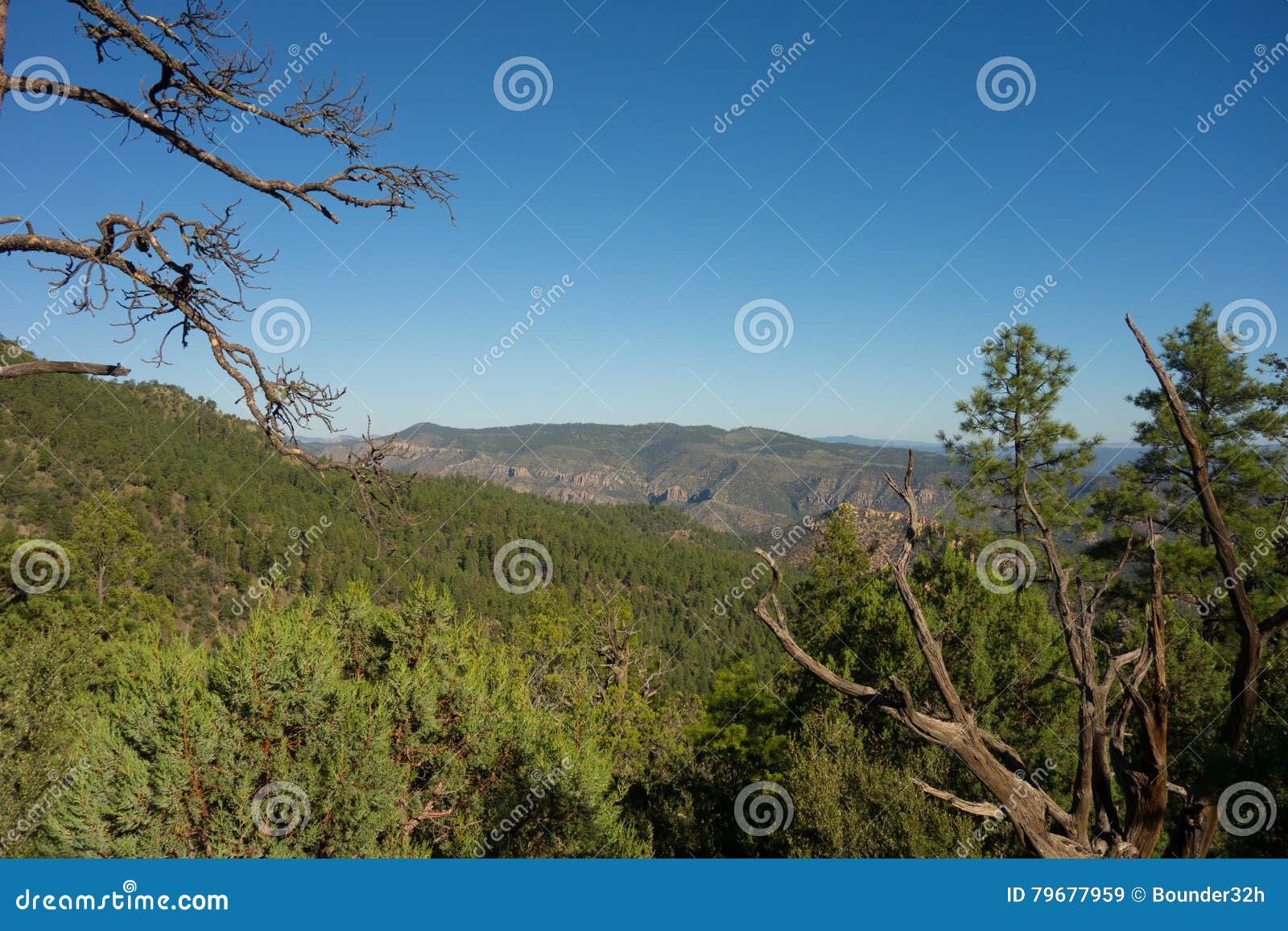 A Mountainous Landscape in the Desert Stock Image Image of mountains, branches 79677959