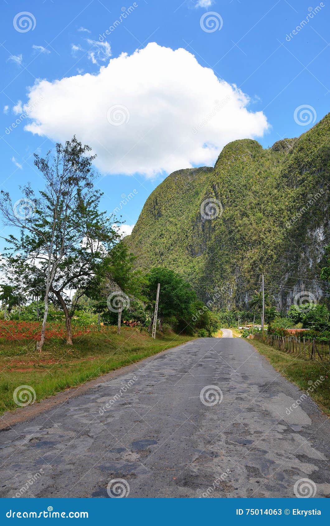 mountains around puerto esperanza, cuba