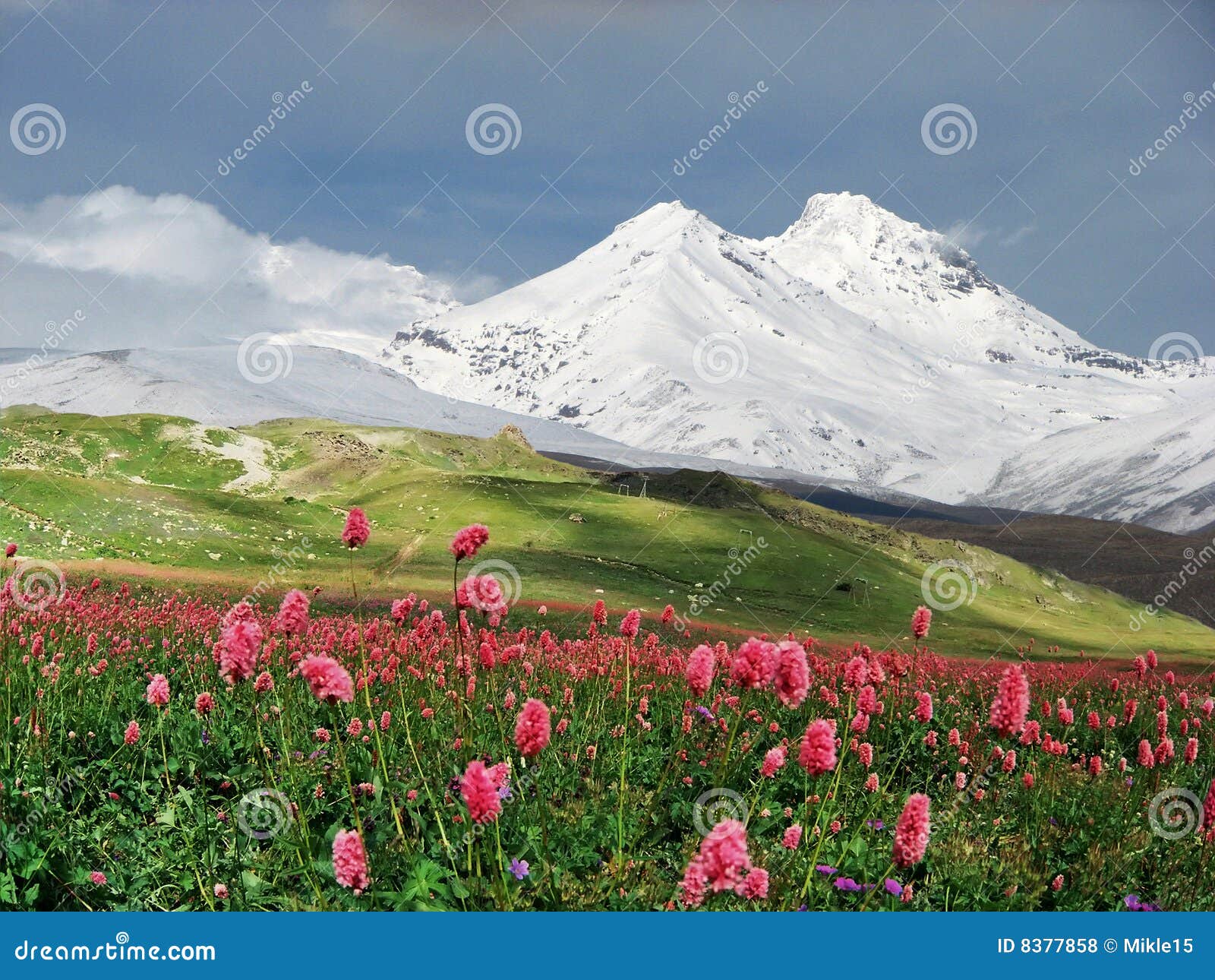 mountains of the caucasus.
