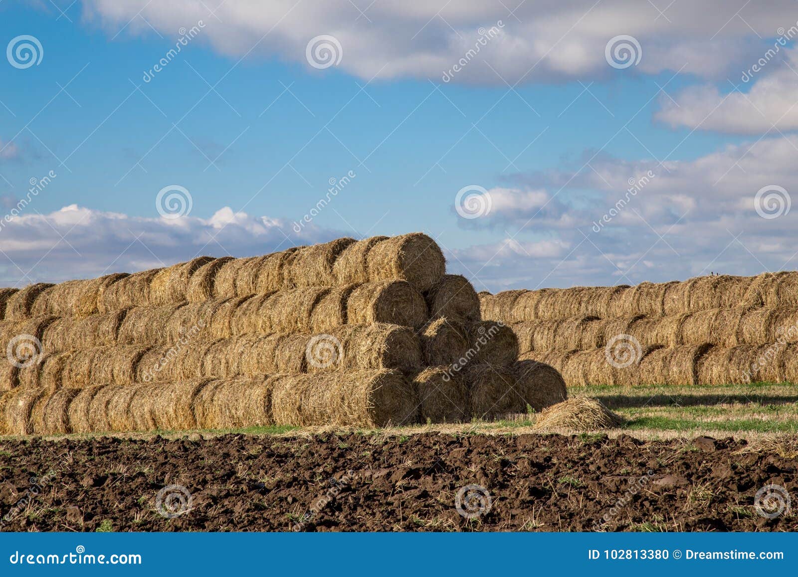 Mountains Collected in a Roll of Hay Bales for Further Processing and Animal Feed Stock Photo - Image of haystack, feed: 102813380 Mountains Collected in a Roll of Hay Bales for Further Processing and Animal Feed Stock Photo - Image of haystack, feed: 102813380